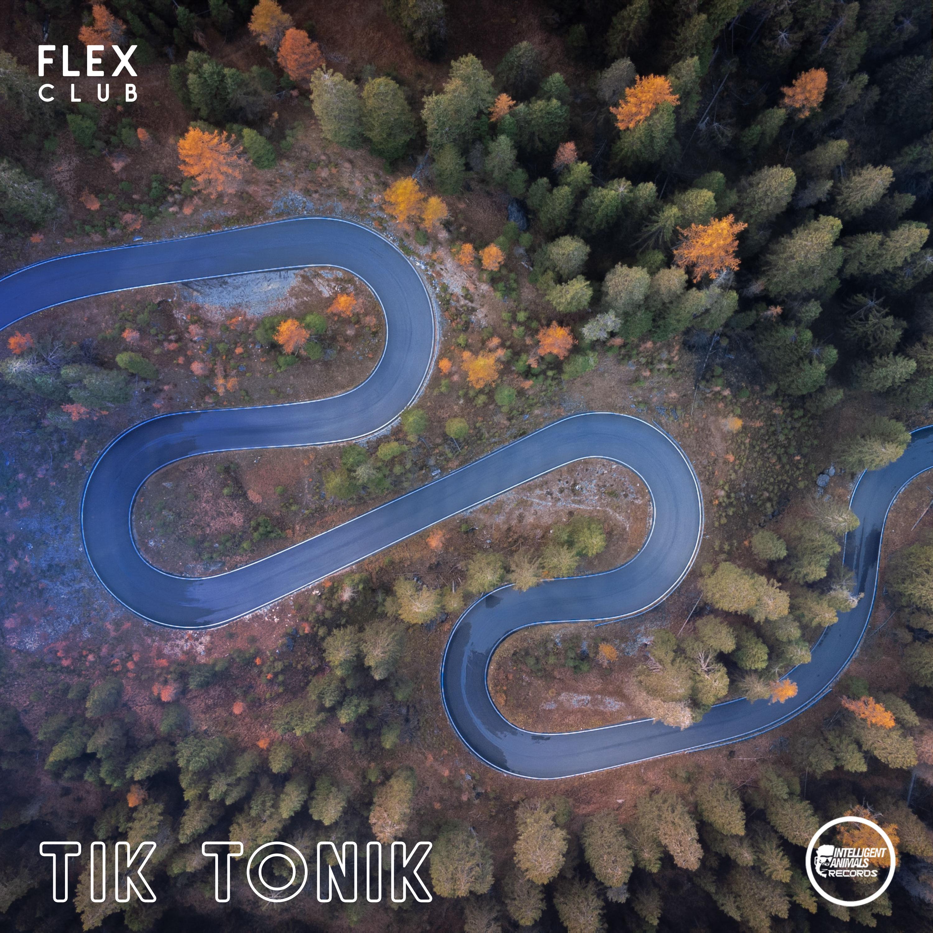 Постер альбома Tik Tonik