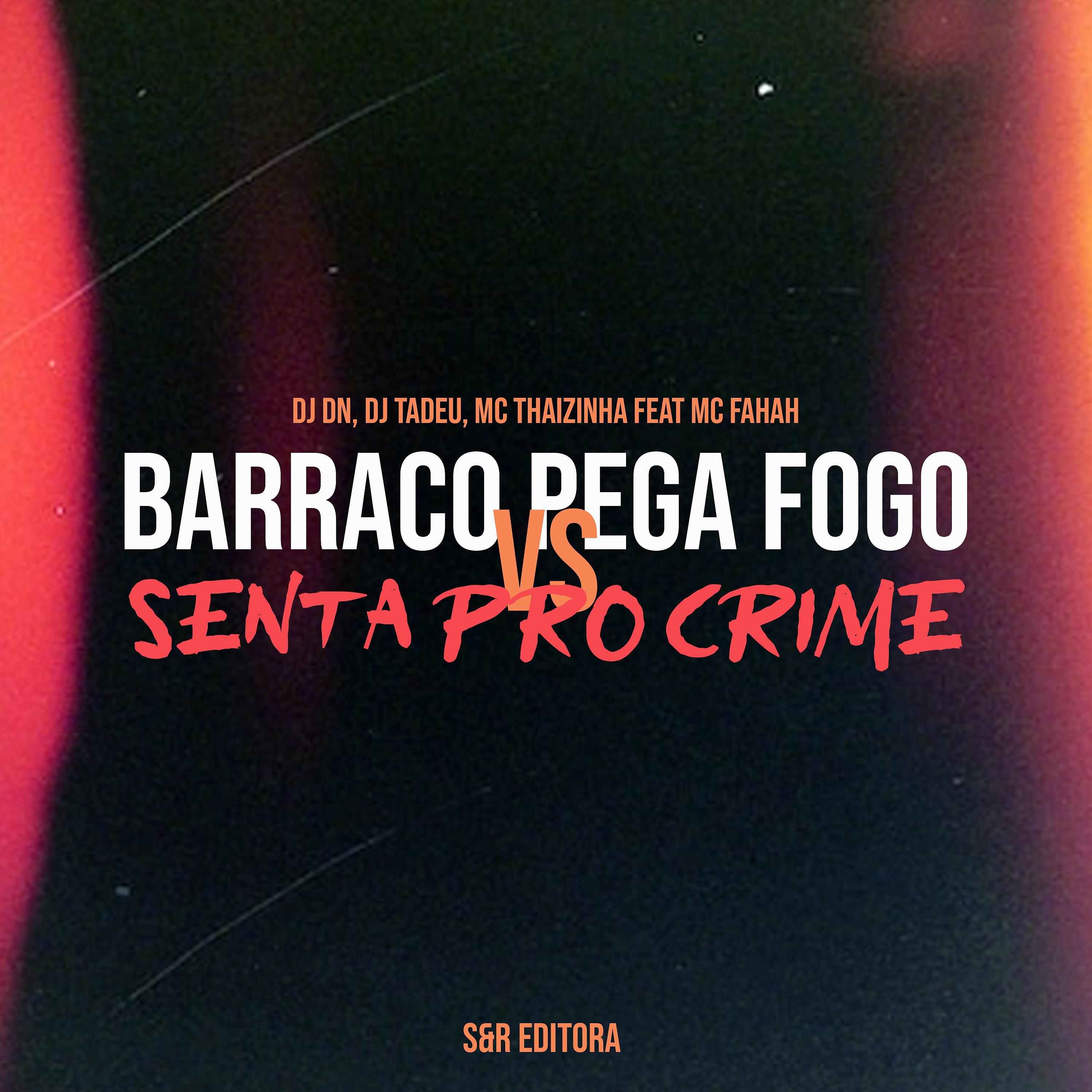 Постер альбома Barraco Pega Fogo Vs Senta pro Crime
