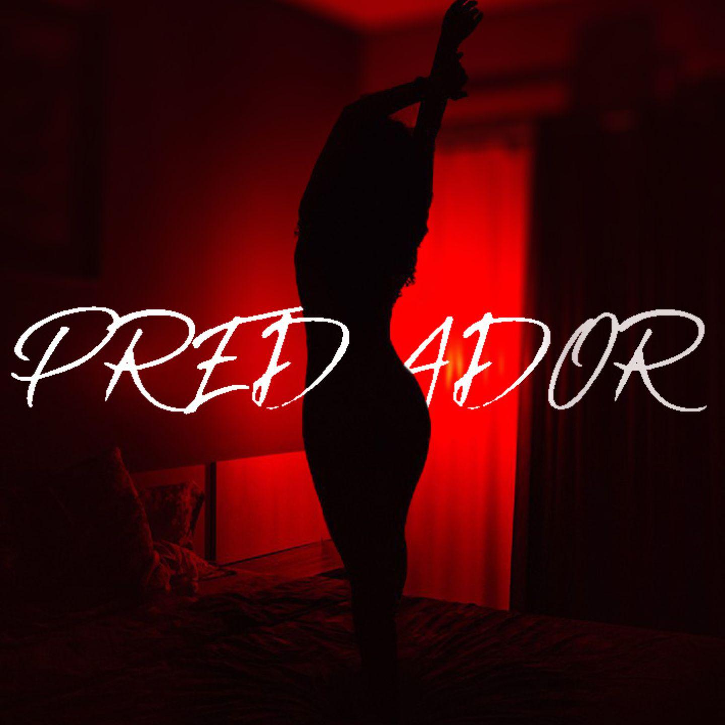 Постер альбома Predador