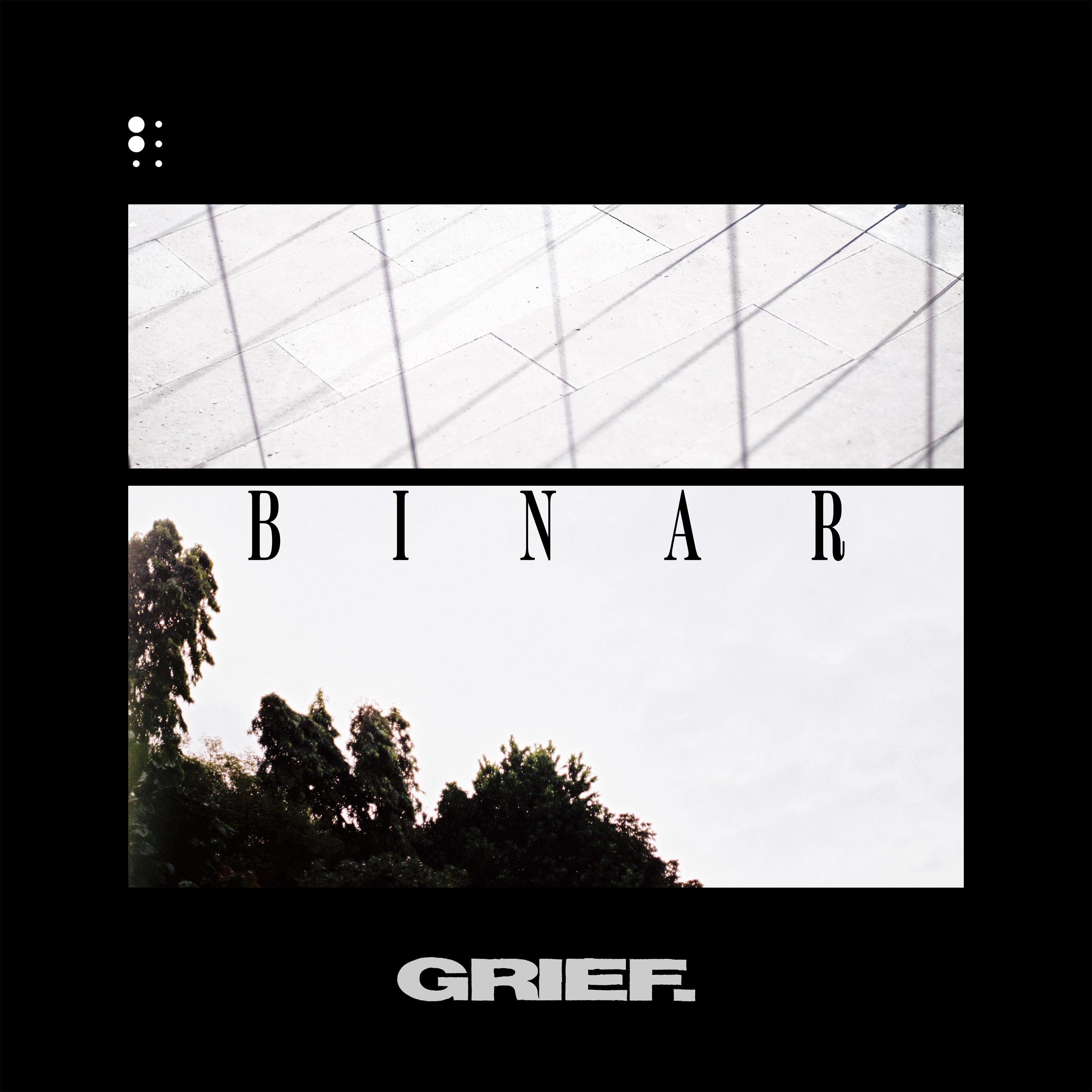 Постер альбома Binar