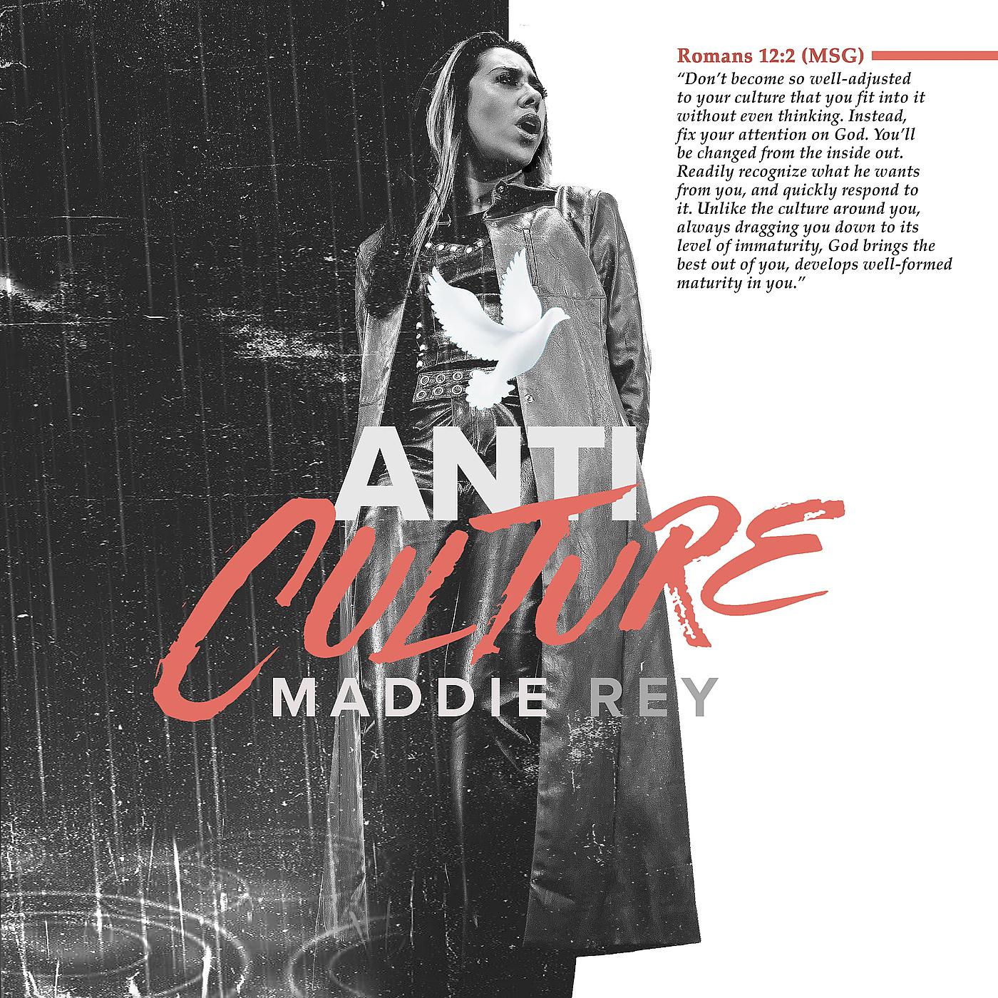 Постер альбома Anti-Culture