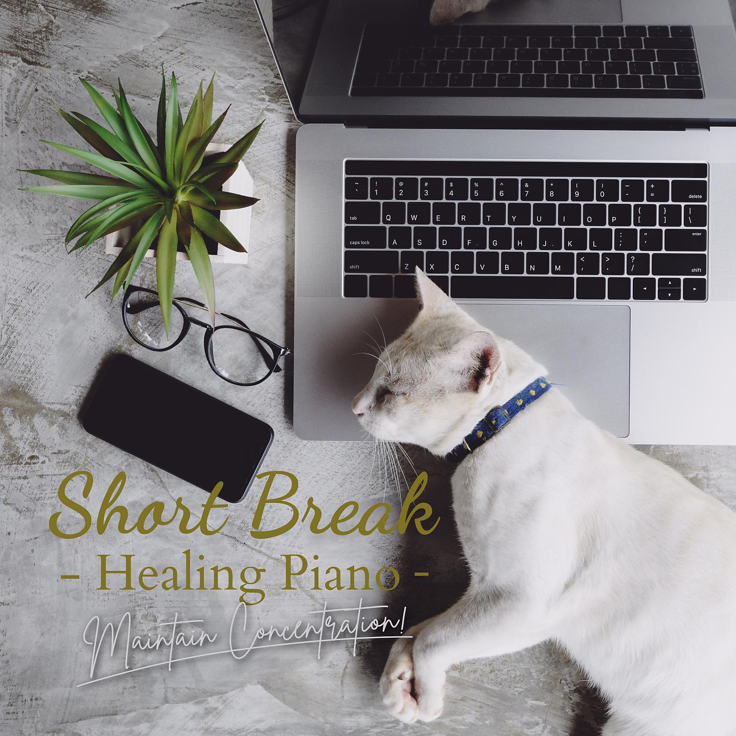 Постер альбома Short Break Healing Piano: Maintain Concentration!