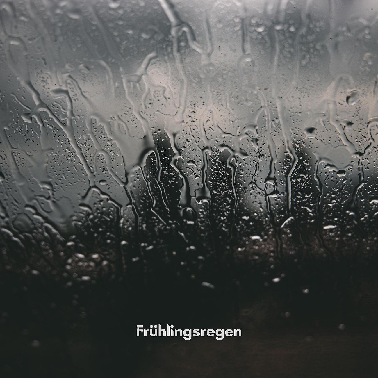 Постер альбома Frühlingsregen
