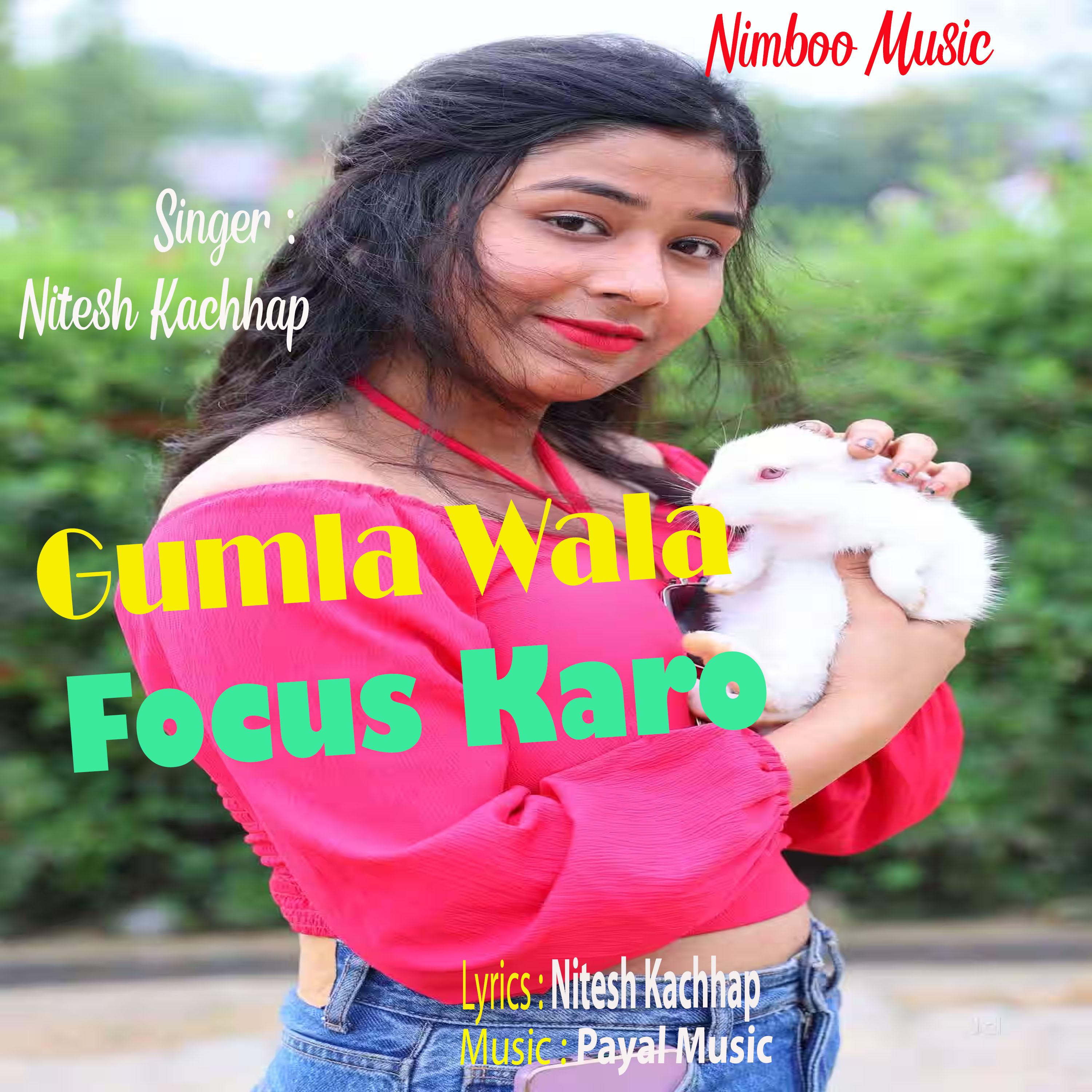 Постер альбома Gumla Wala Focus Karo