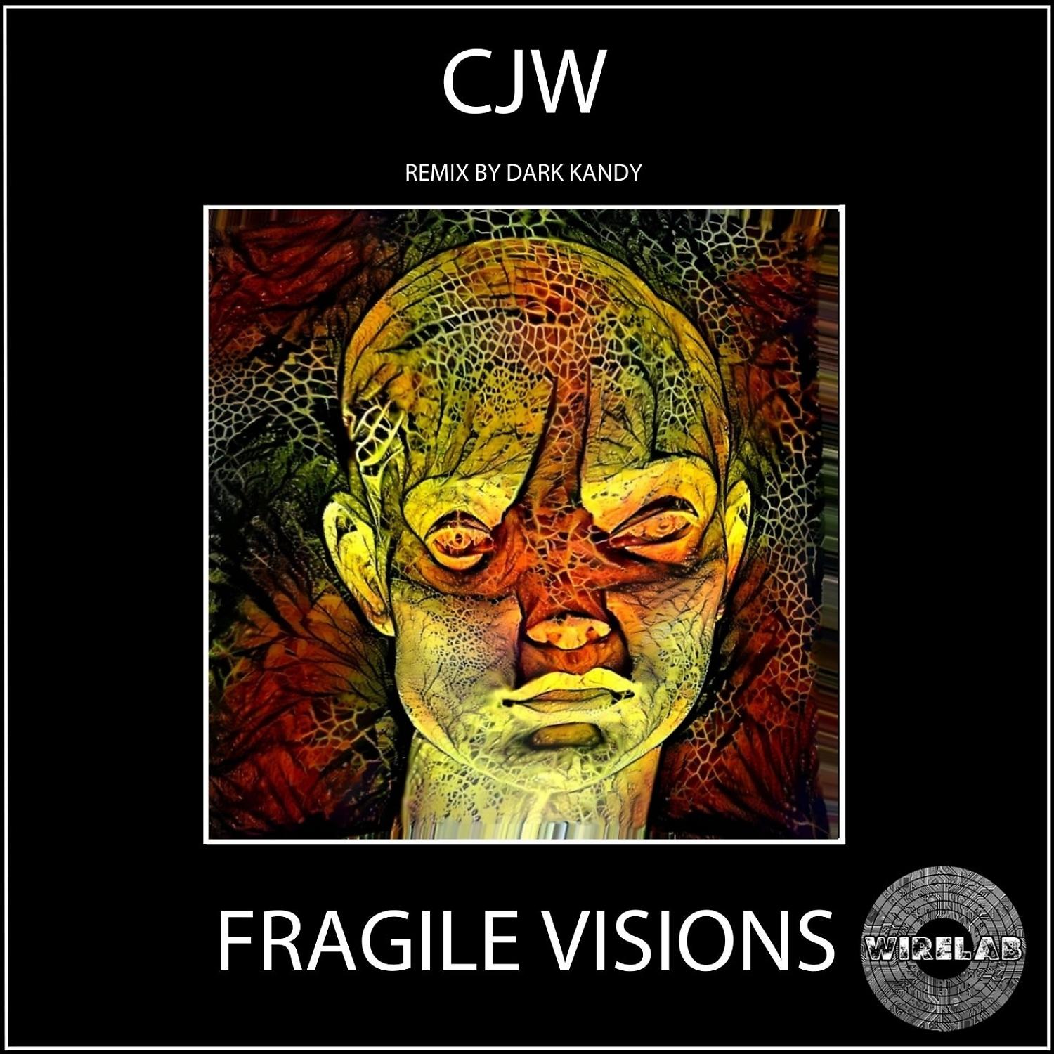 Постер альбома Fragile Visions