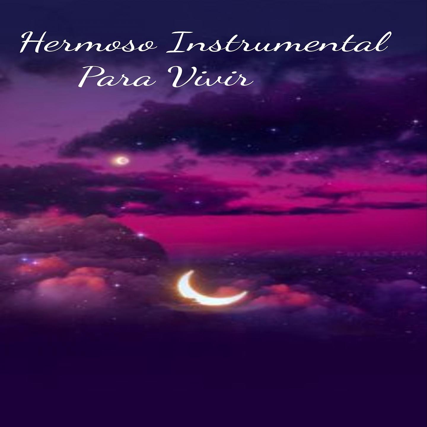 Постер альбома Hermoso Instrumental Para Vivir
