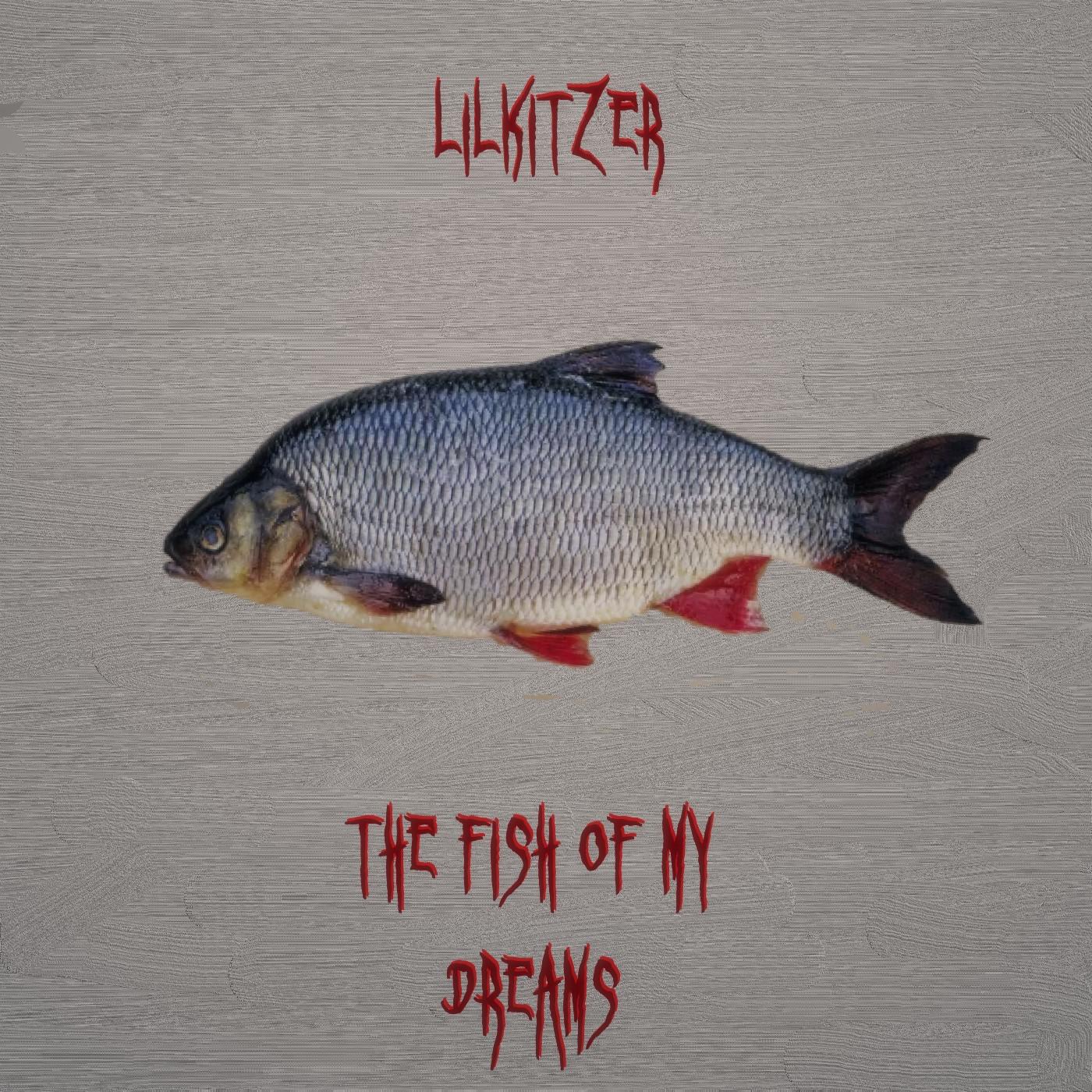 Постер альбома The Fish of My Dreams