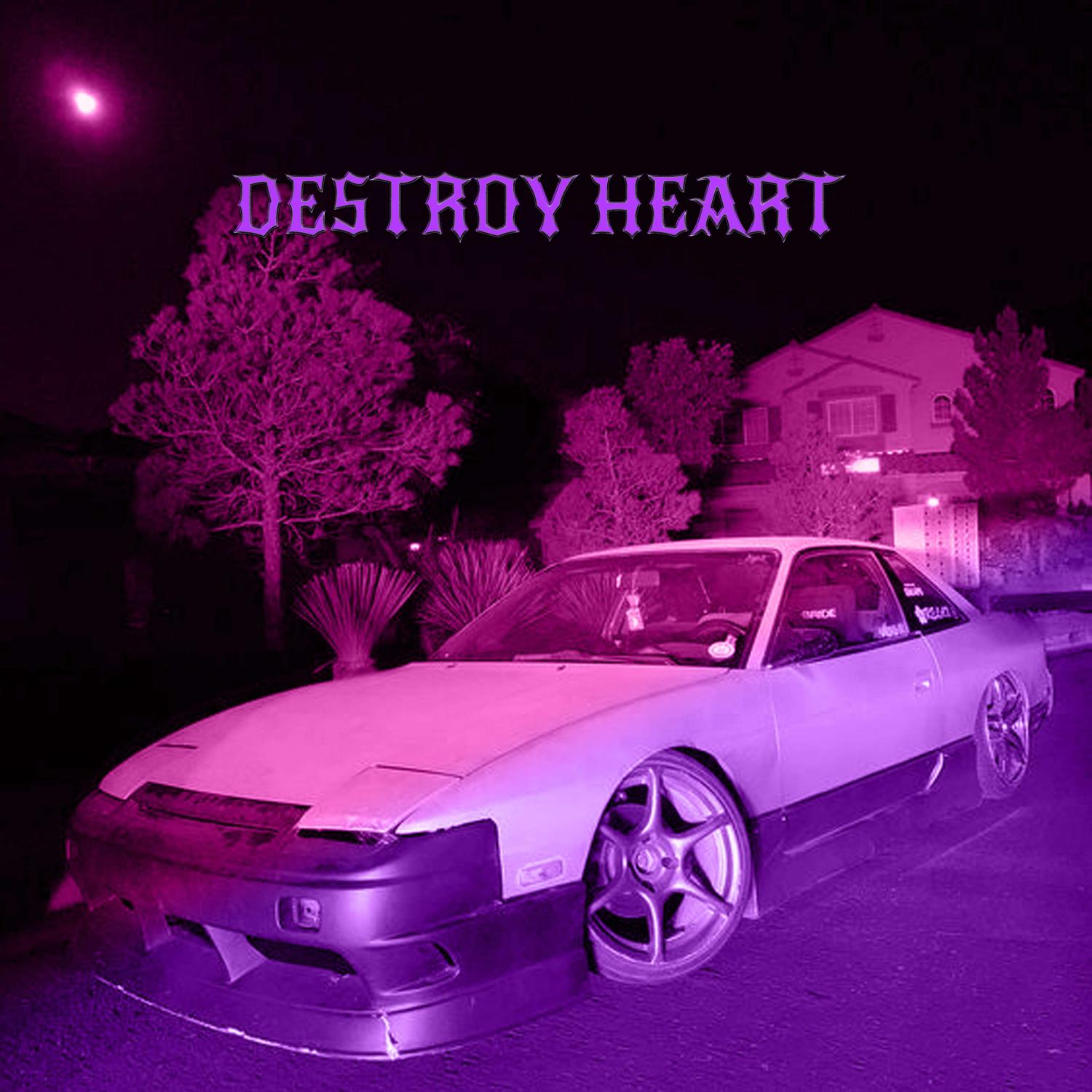 Постер альбома DESTROY HEART