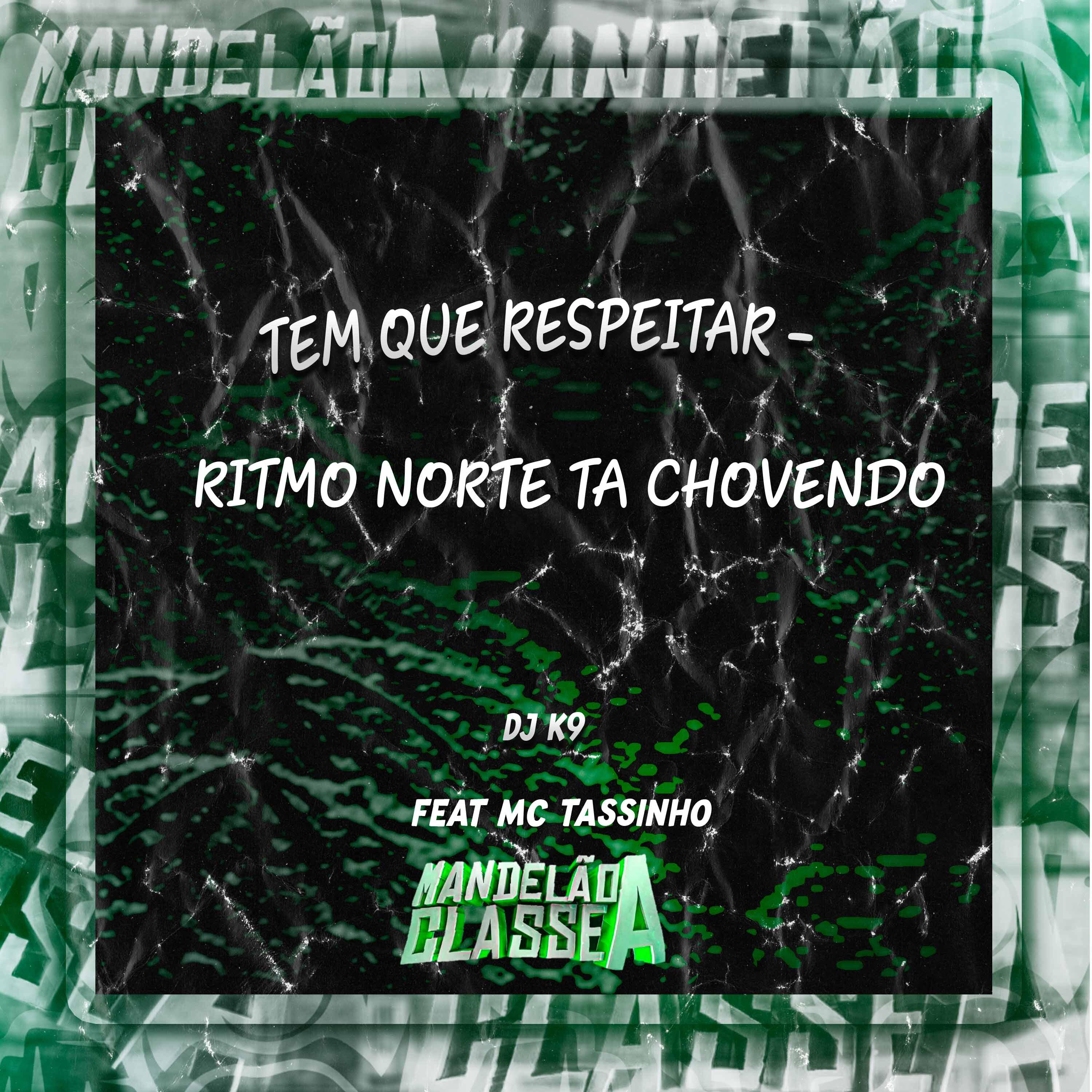 Постер альбома Tem Que Respeitar - Ritmo Norte Ta Chovendo