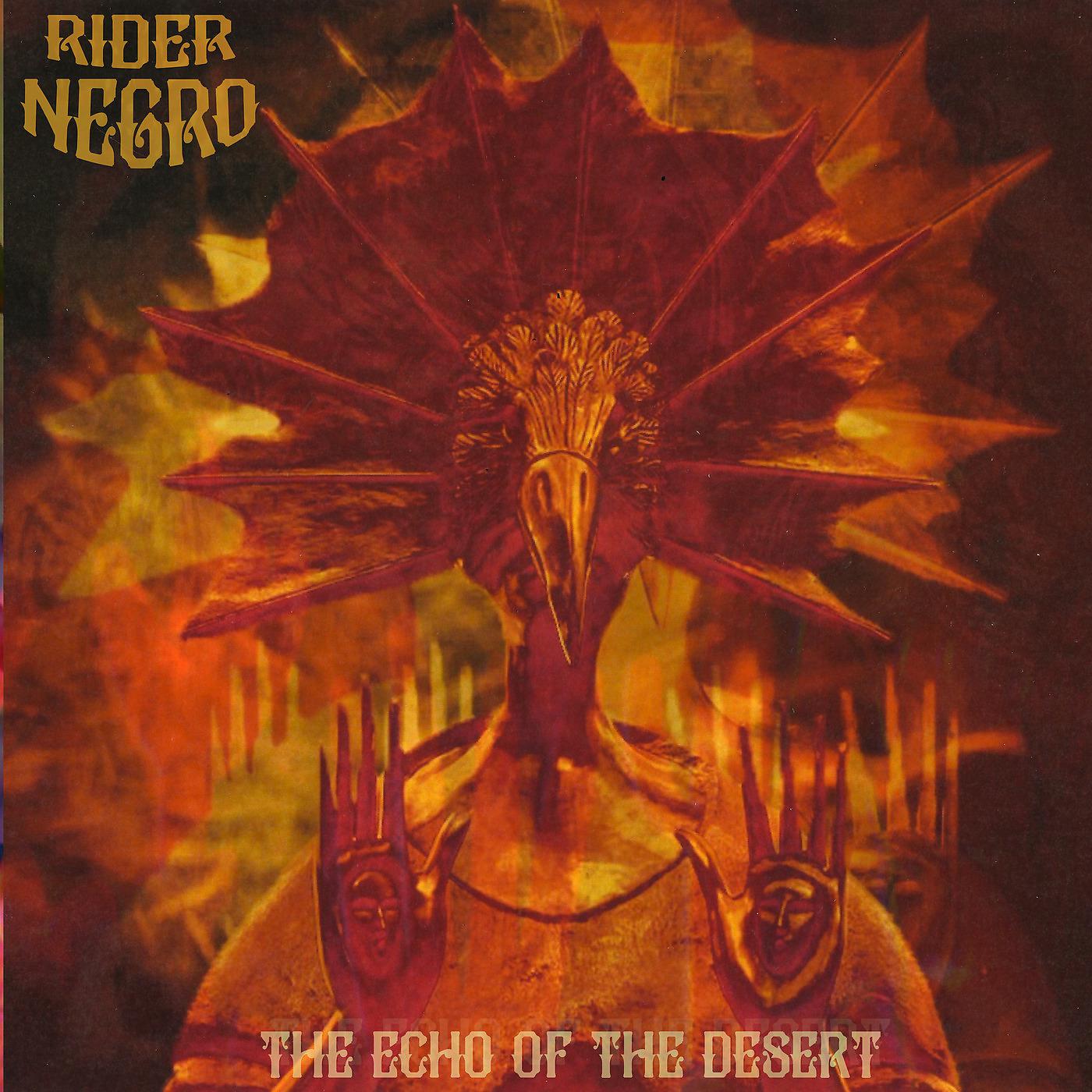Постер альбома The Echo of the Desert
