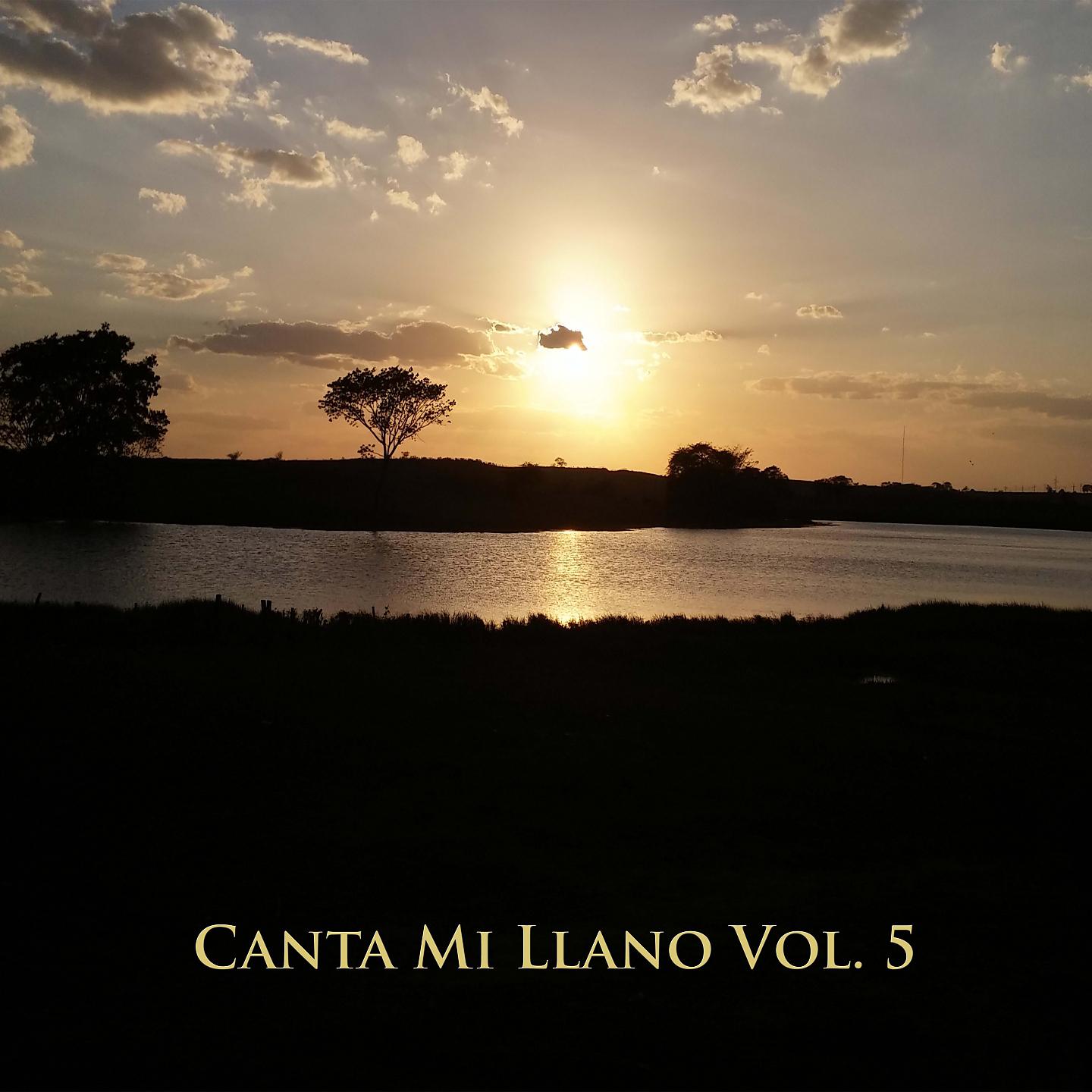 Постер альбома Canta Mi Llano Vol 5