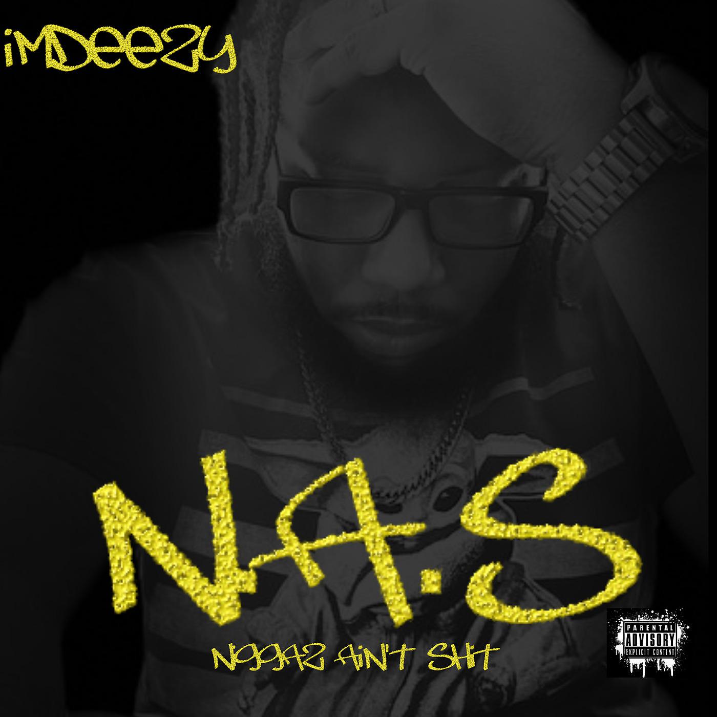 Постер альбома N.a.S. (Niggaz Ain’t Shit)