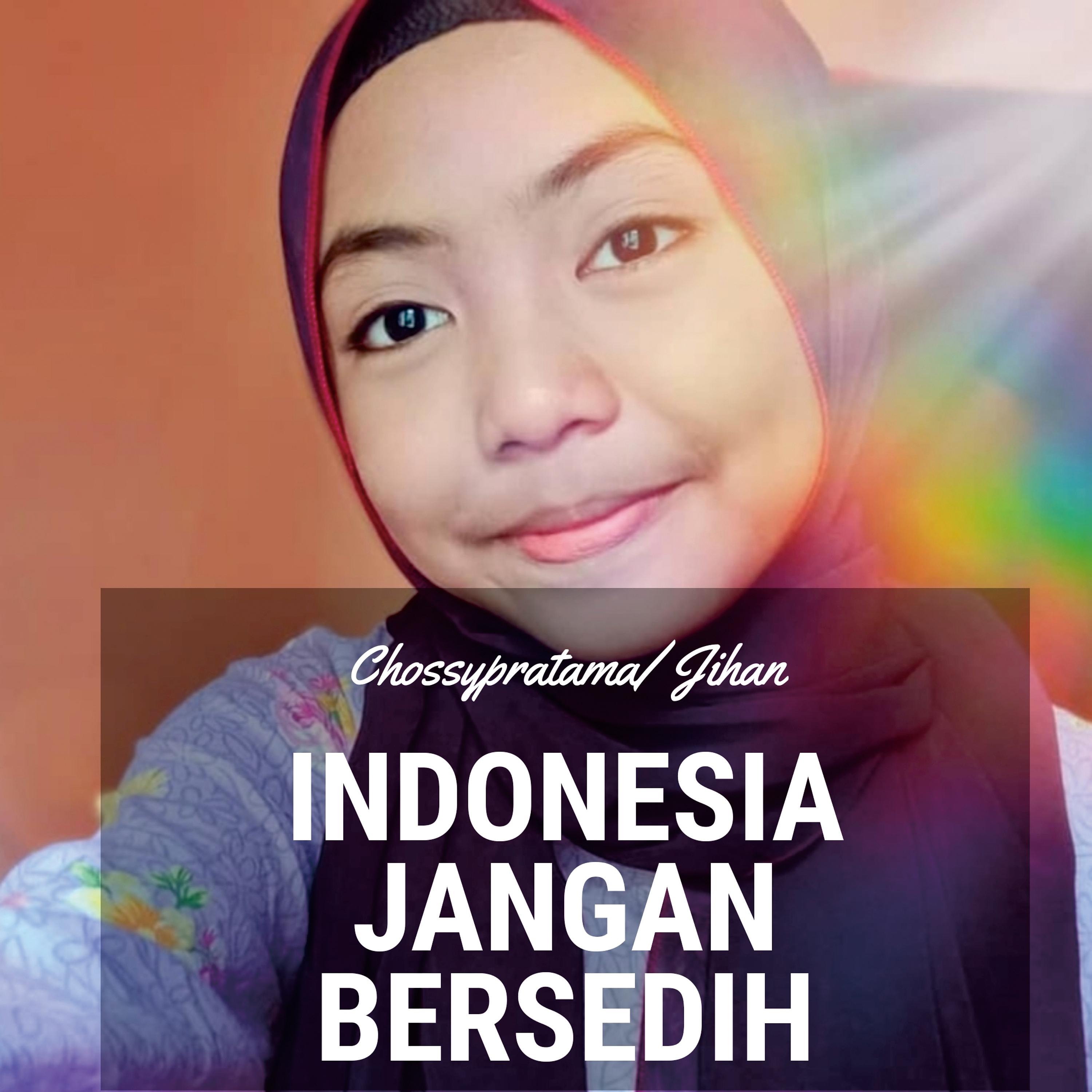 Постер альбома Indonesia Jangan Bersedih