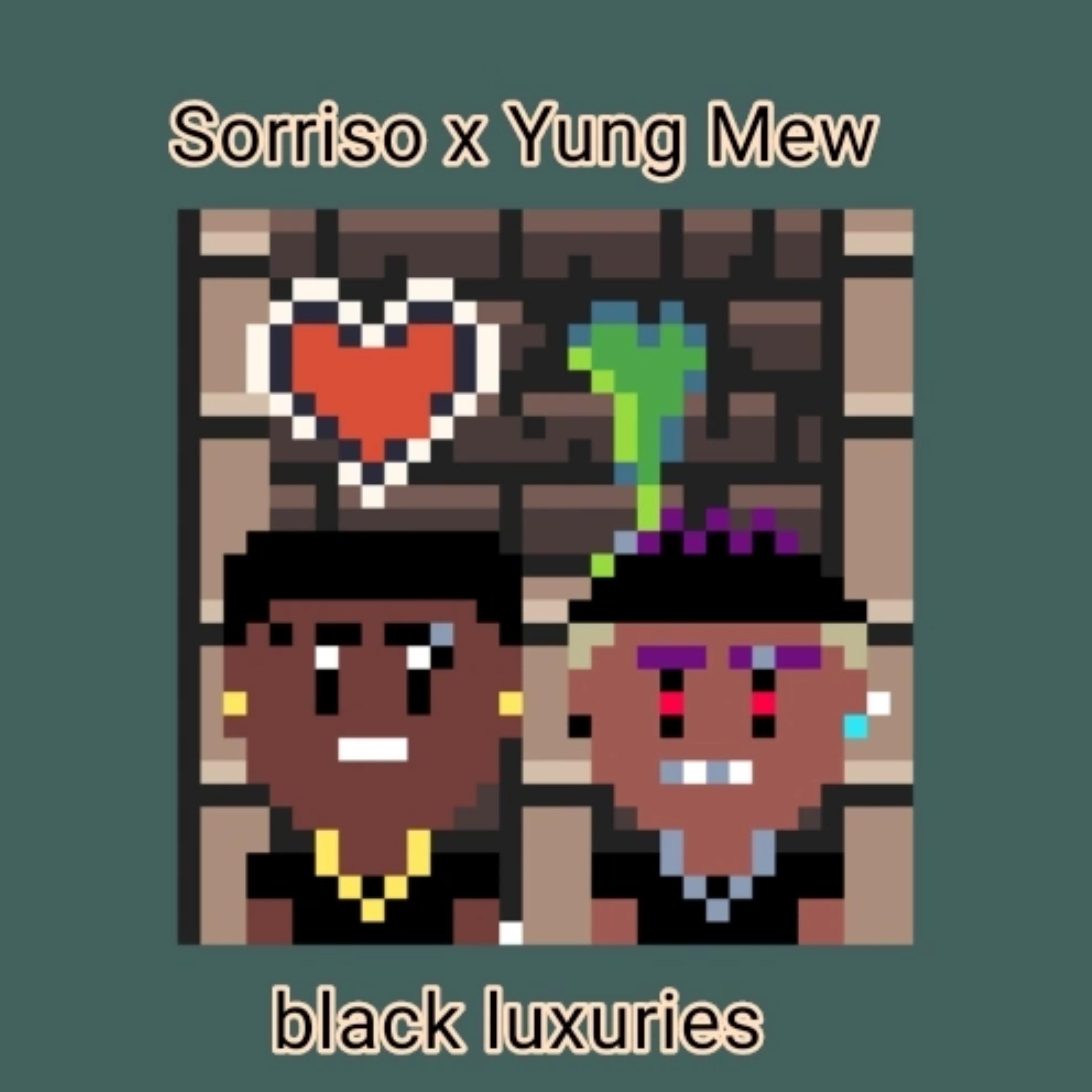 Постер альбома Black Luxury