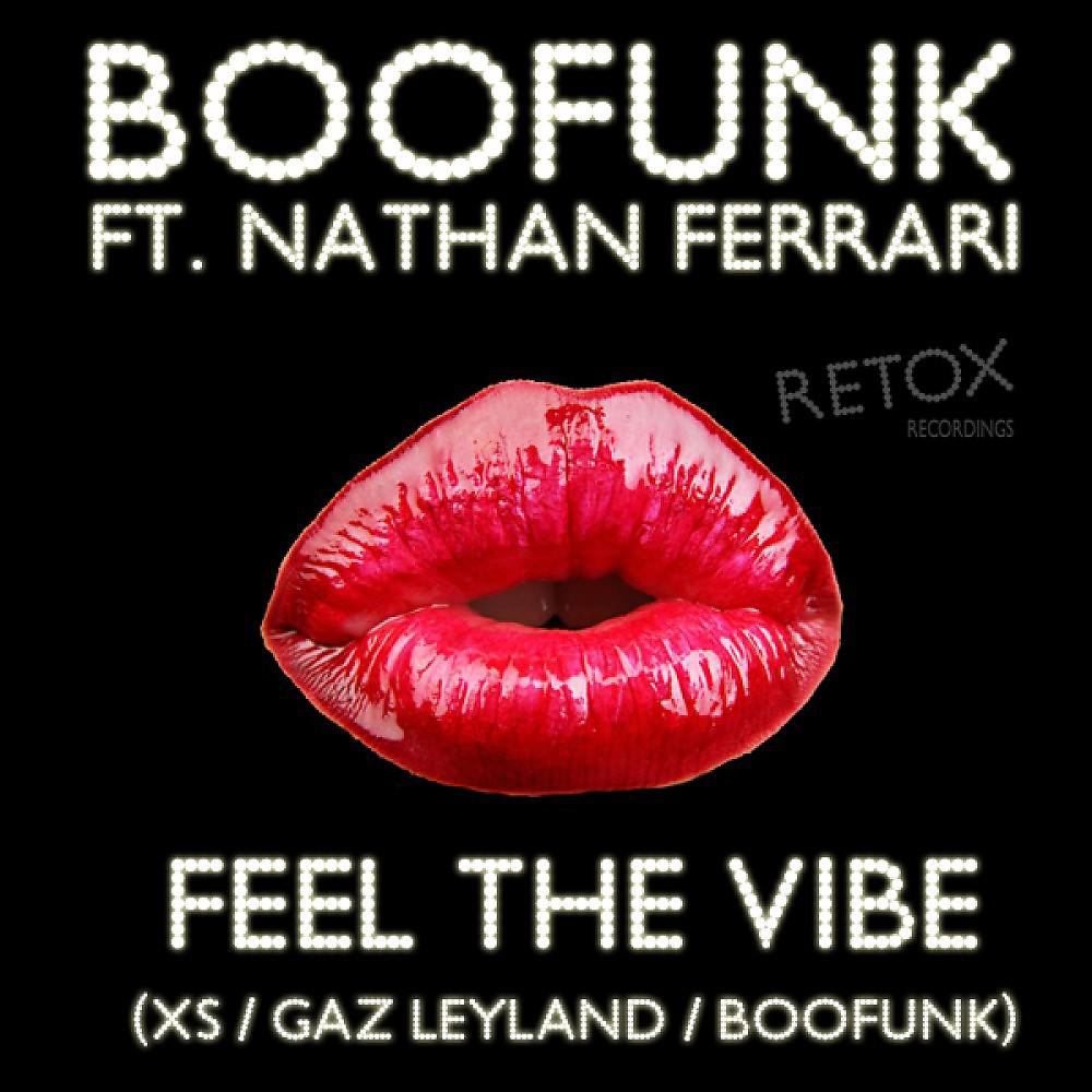 Постер альбома Feel the Vibe (Remixes)