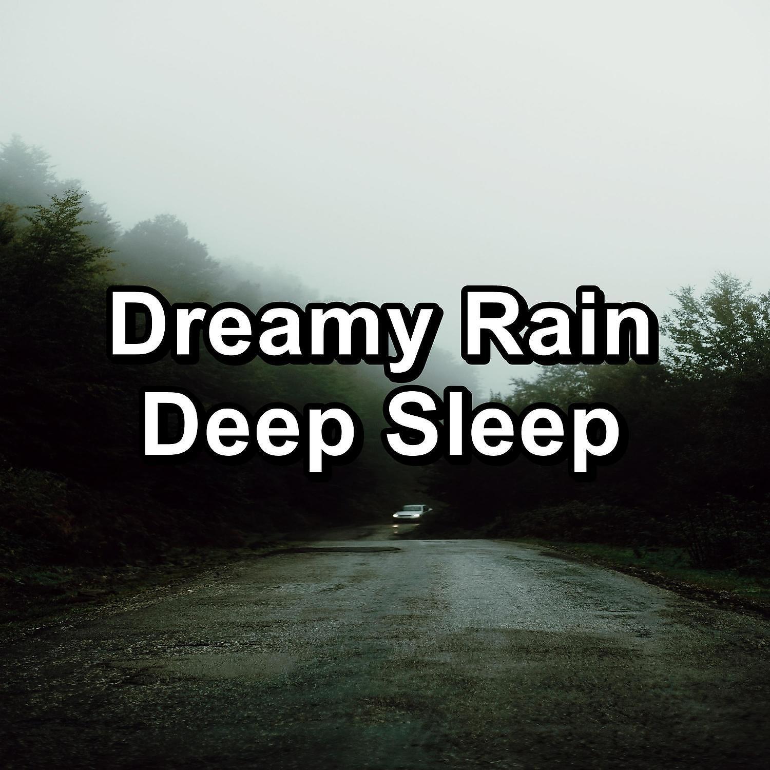 Постер альбома Dreamy Rain Deep Sleep