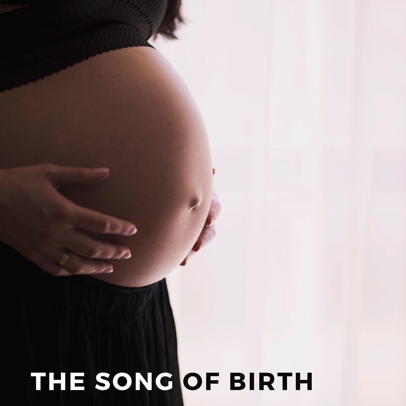 Постер альбома The song of birth
