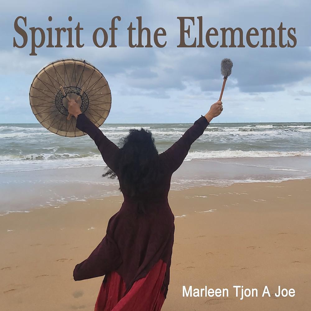 Постер альбома Spirit of the Elements