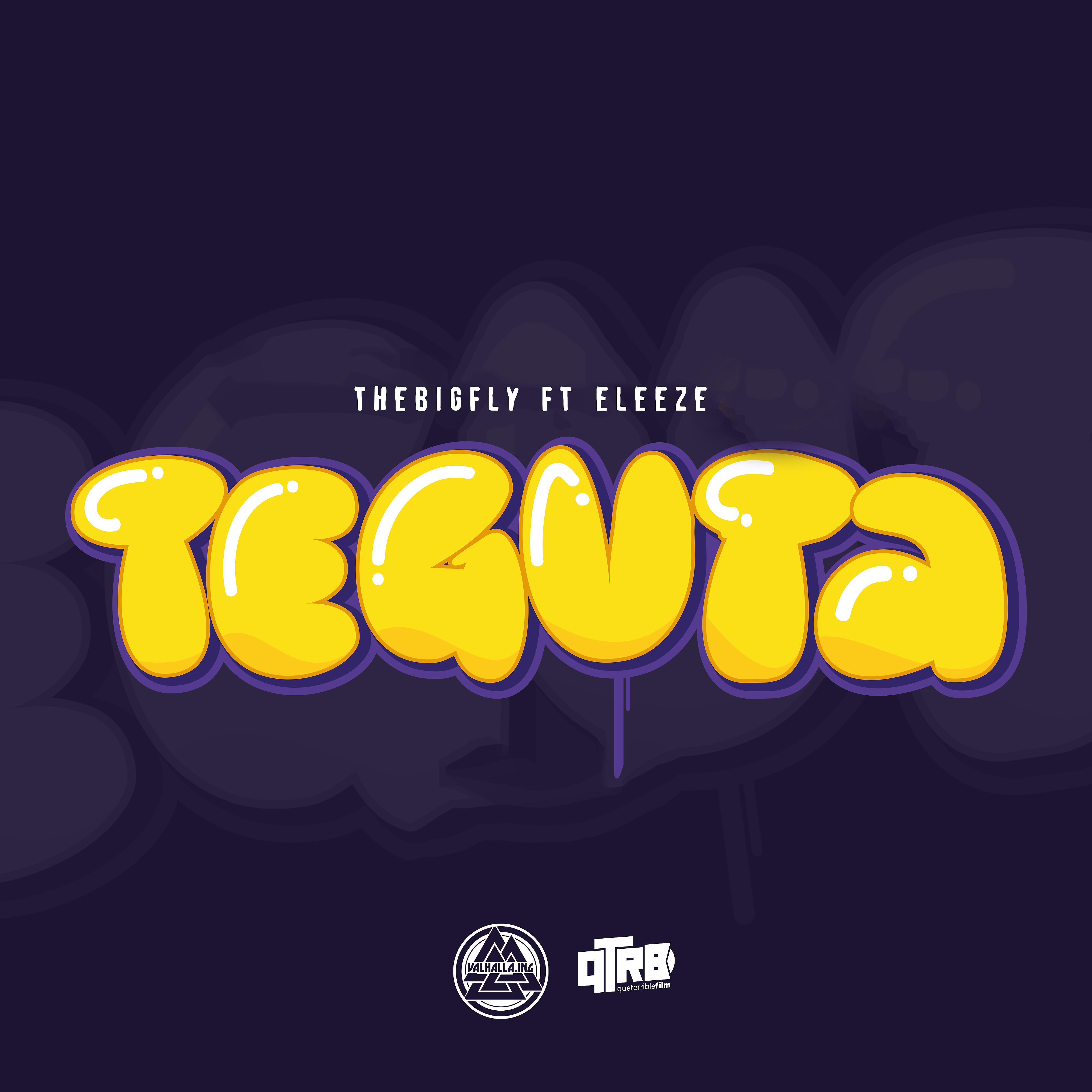 Постер альбома Teguta
