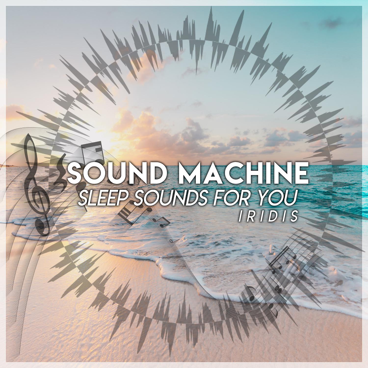 Постер альбома Sound Machine: Sleep Sounds for You