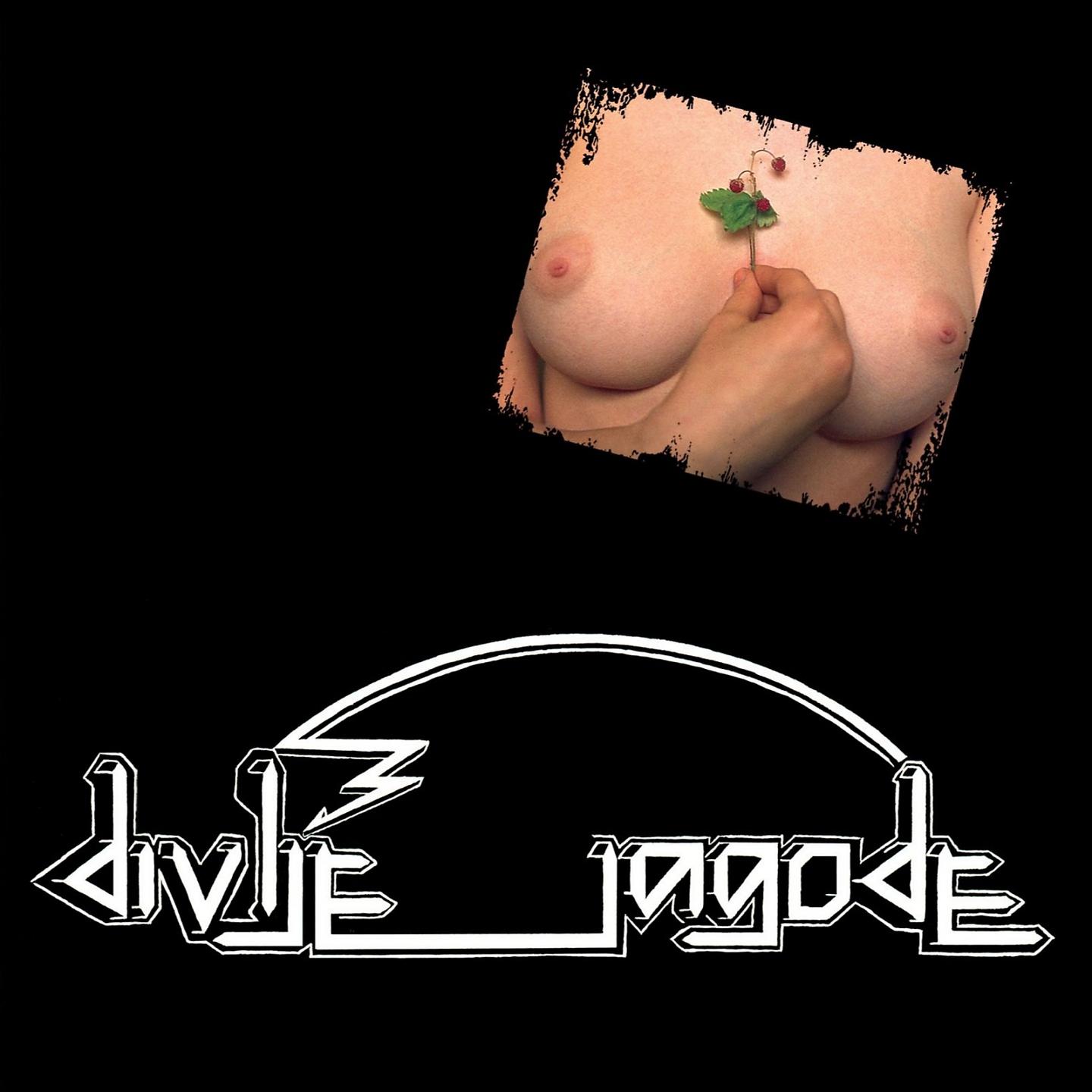 Постер альбома Divlje Jagode