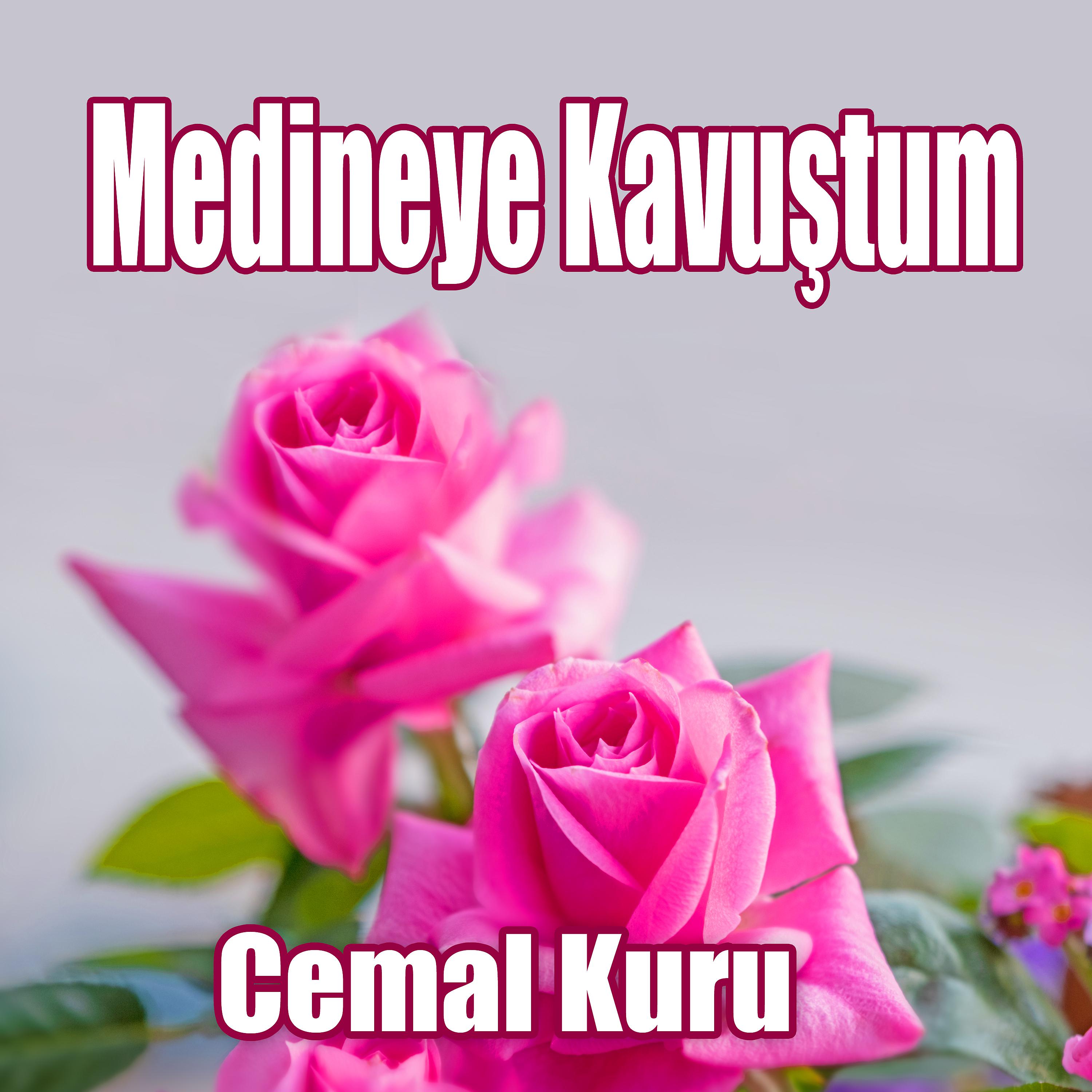 Постер альбома Medineye Kavuştum
