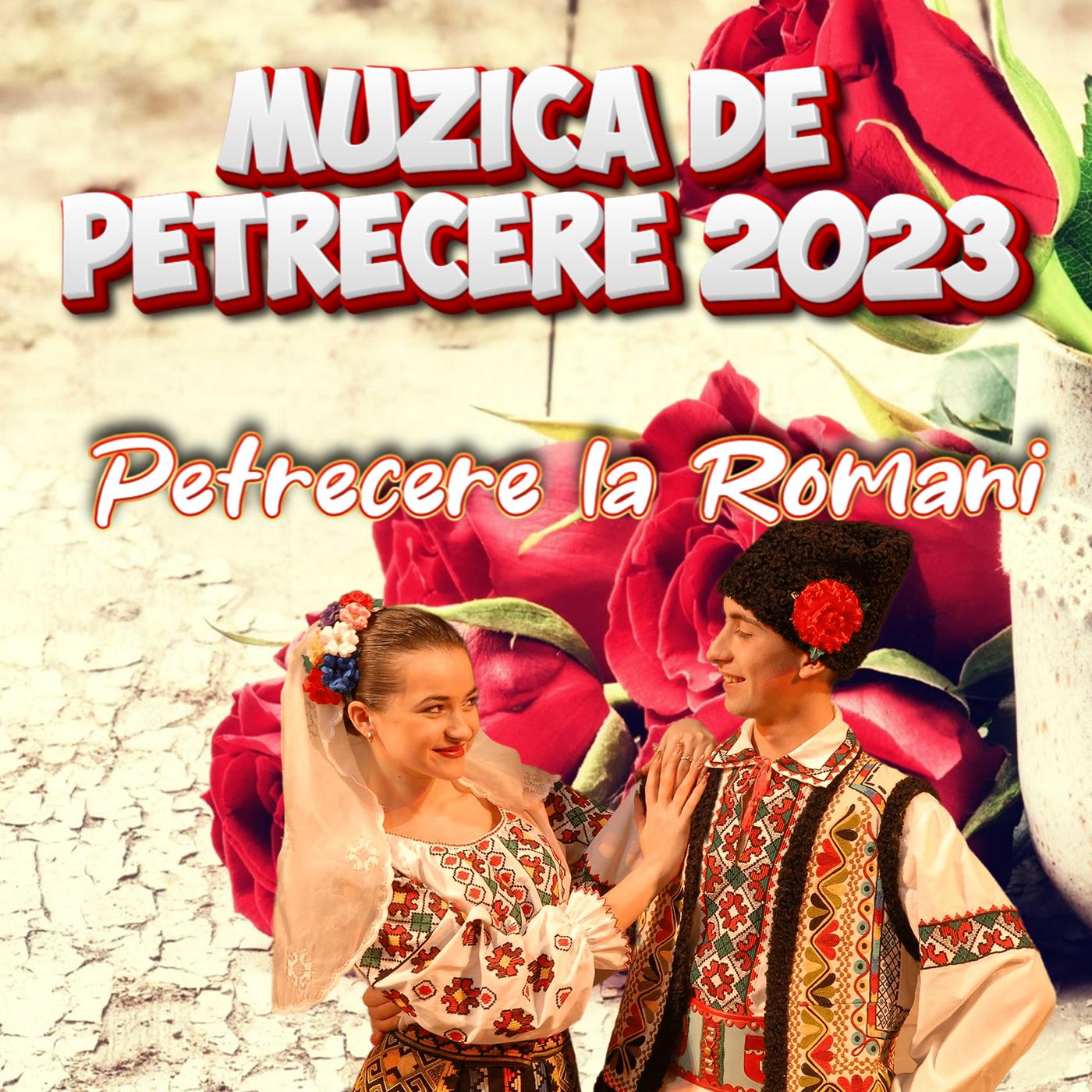 Постер альбома Muzica de Petrecere 2023