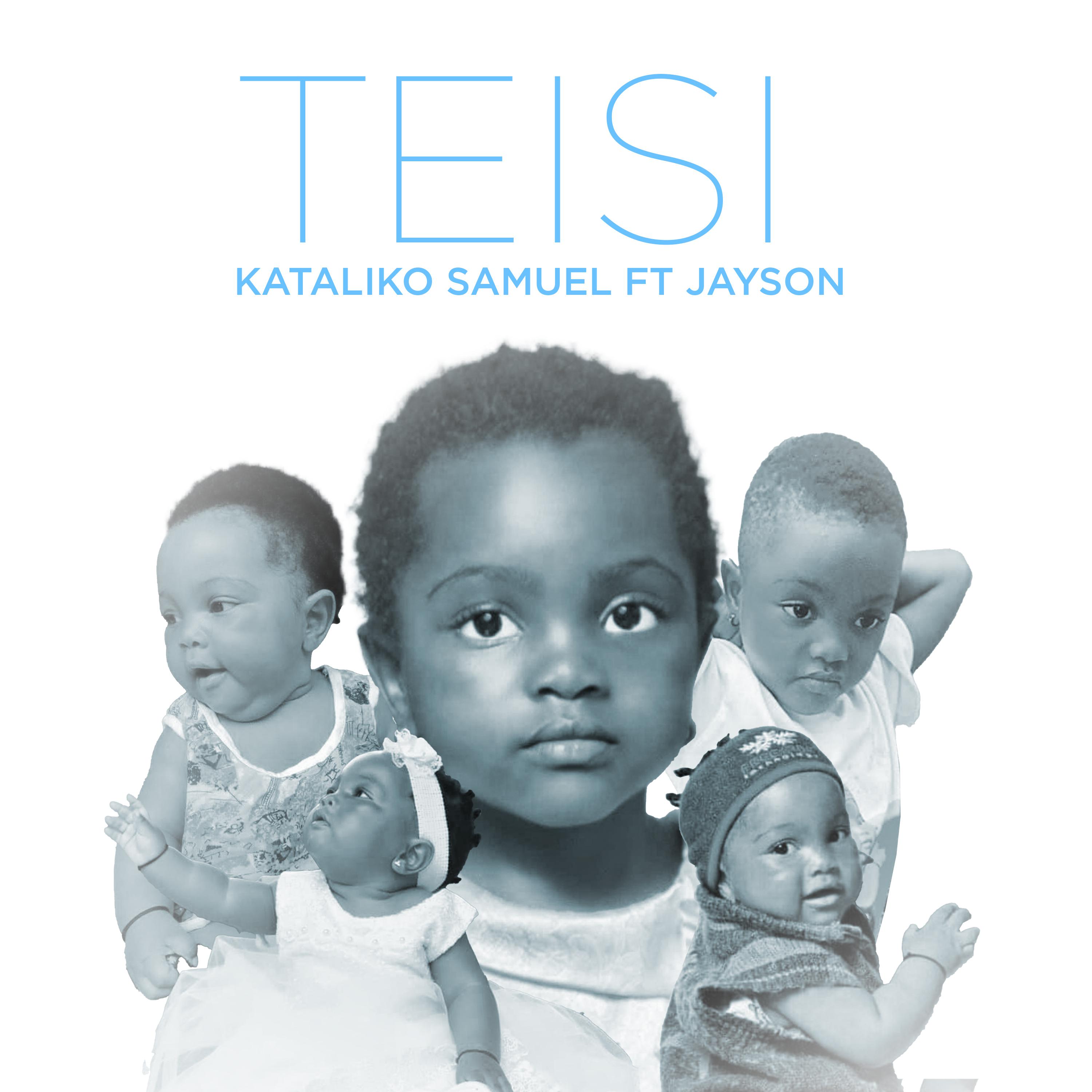 Постер альбома Teisi