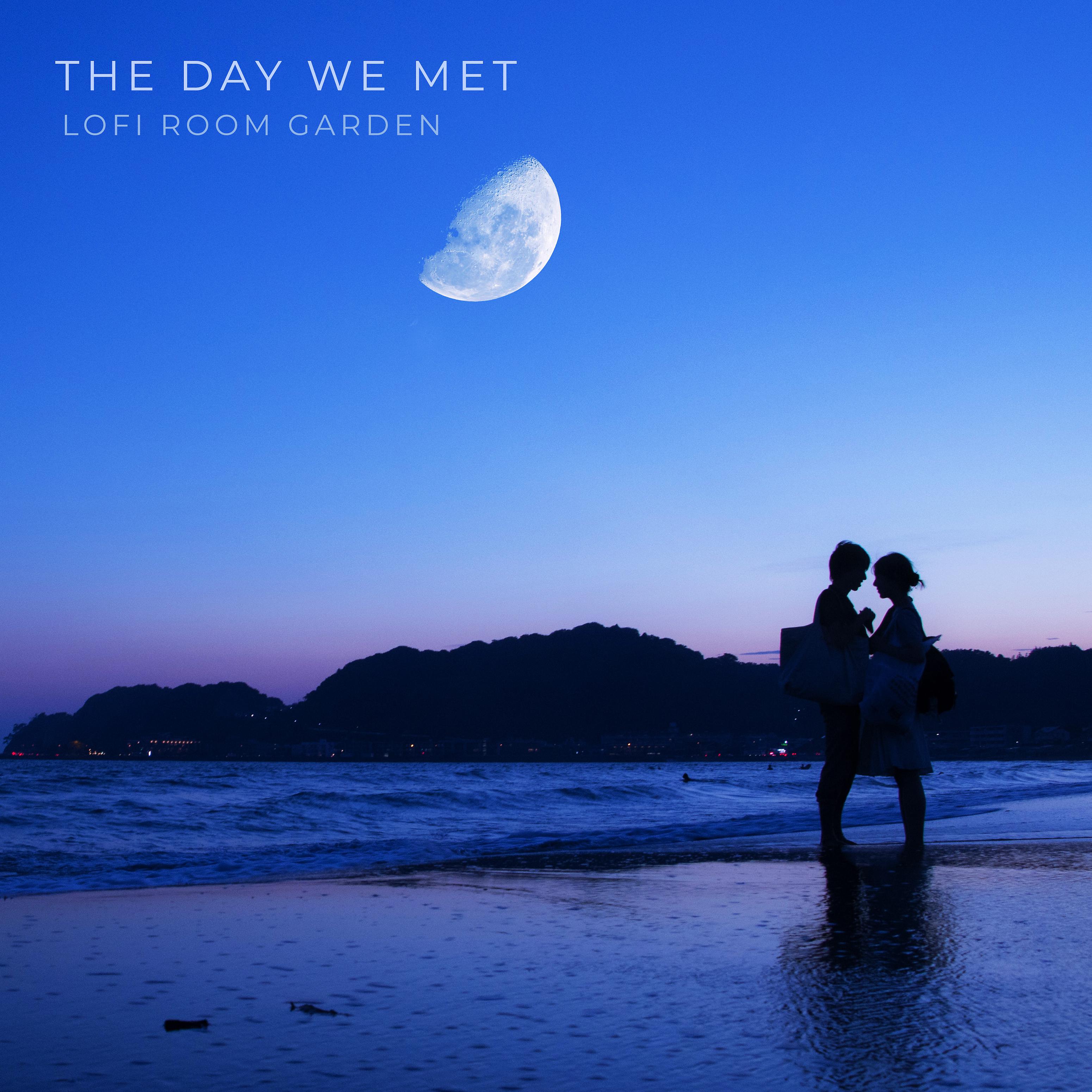 Постер альбома The Day We Met