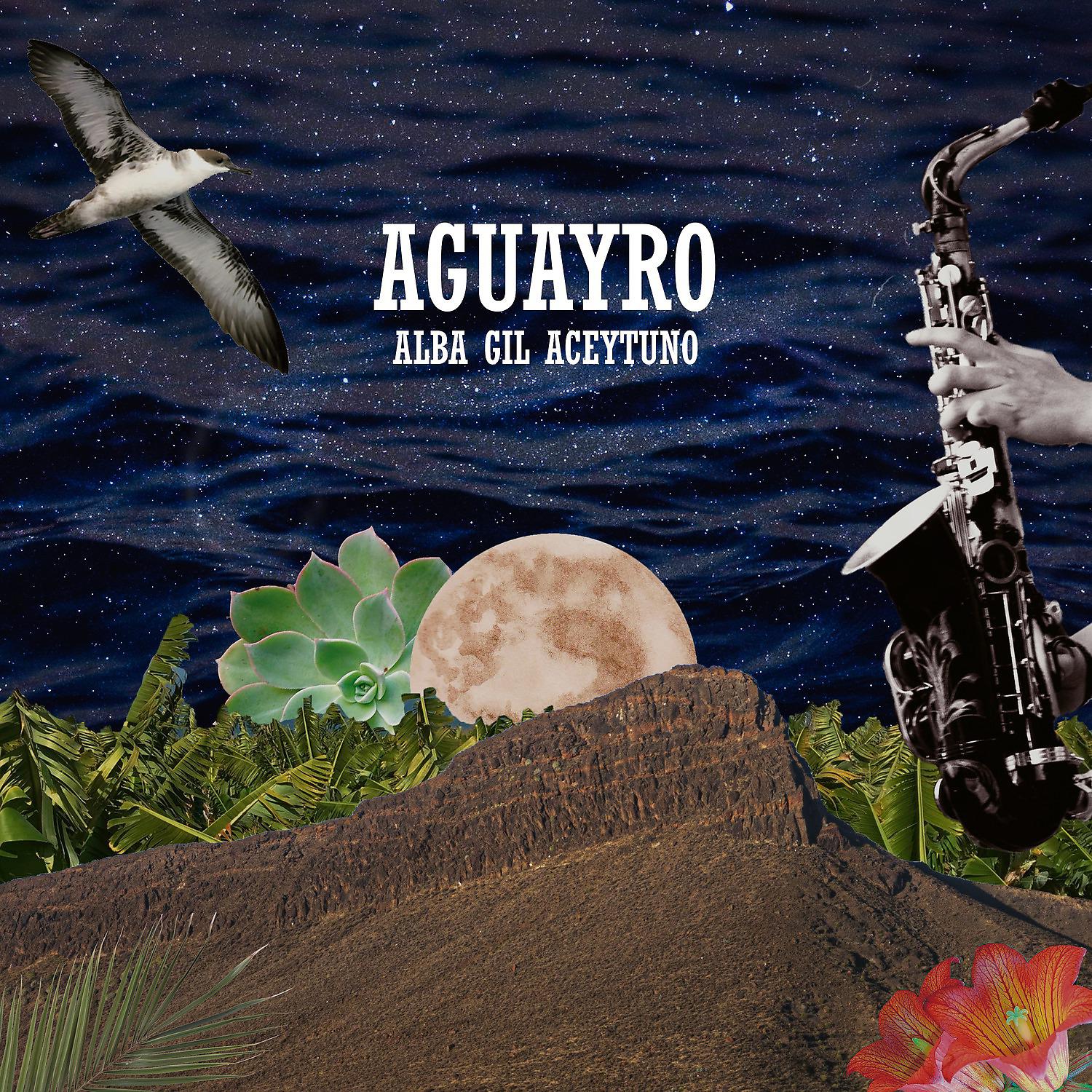 Постер альбома Aguayro