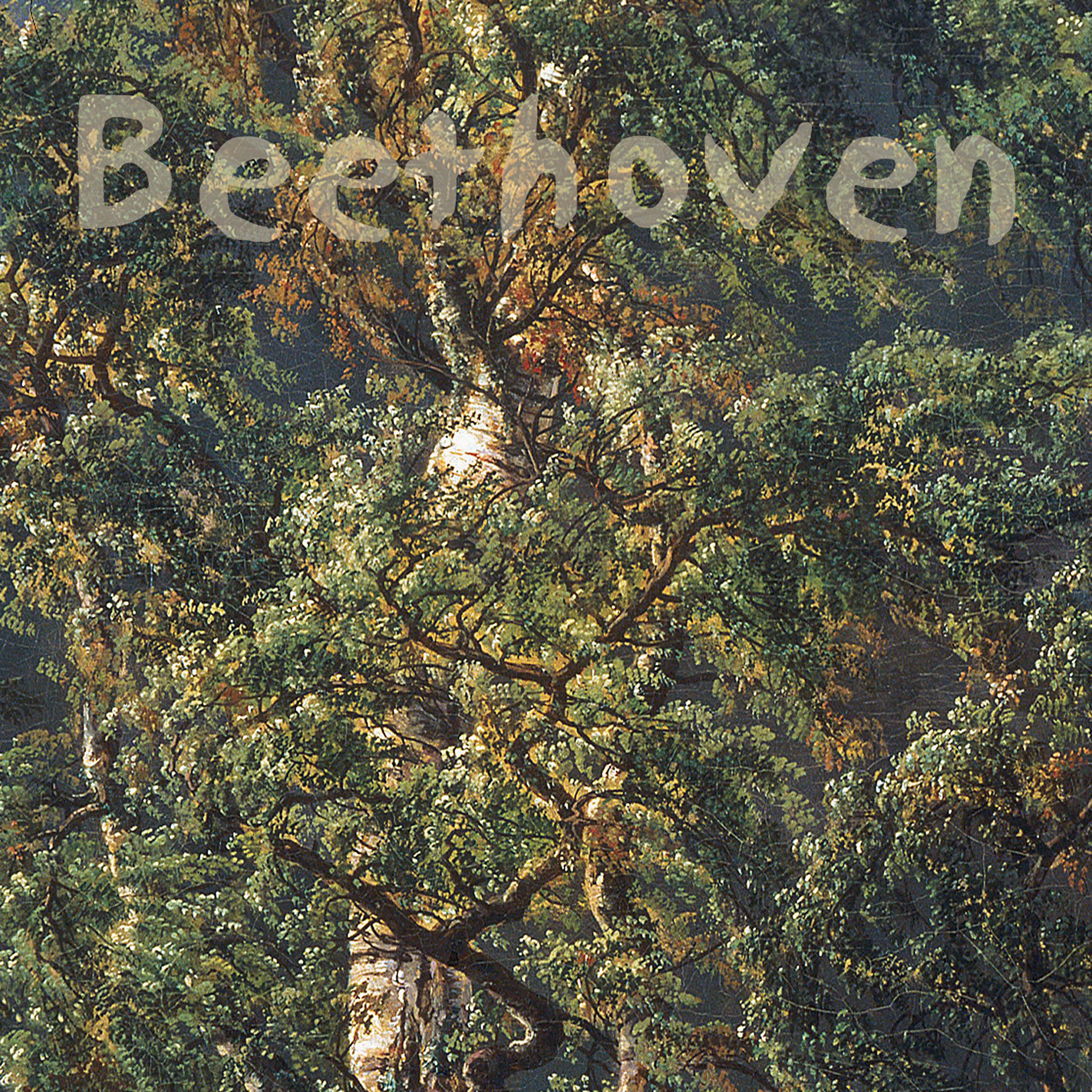 Постер альбома Beethoven Sonatas Vol I