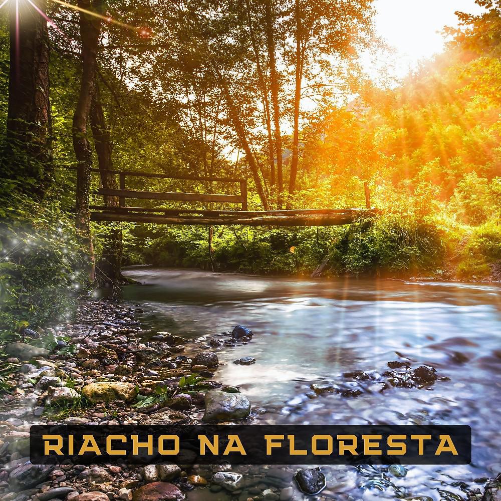 Постер альбома Riacho na Floresta