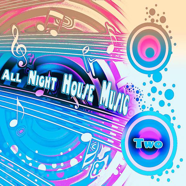 Постер альбома All Night House Music,Two (House Selected Flavours)