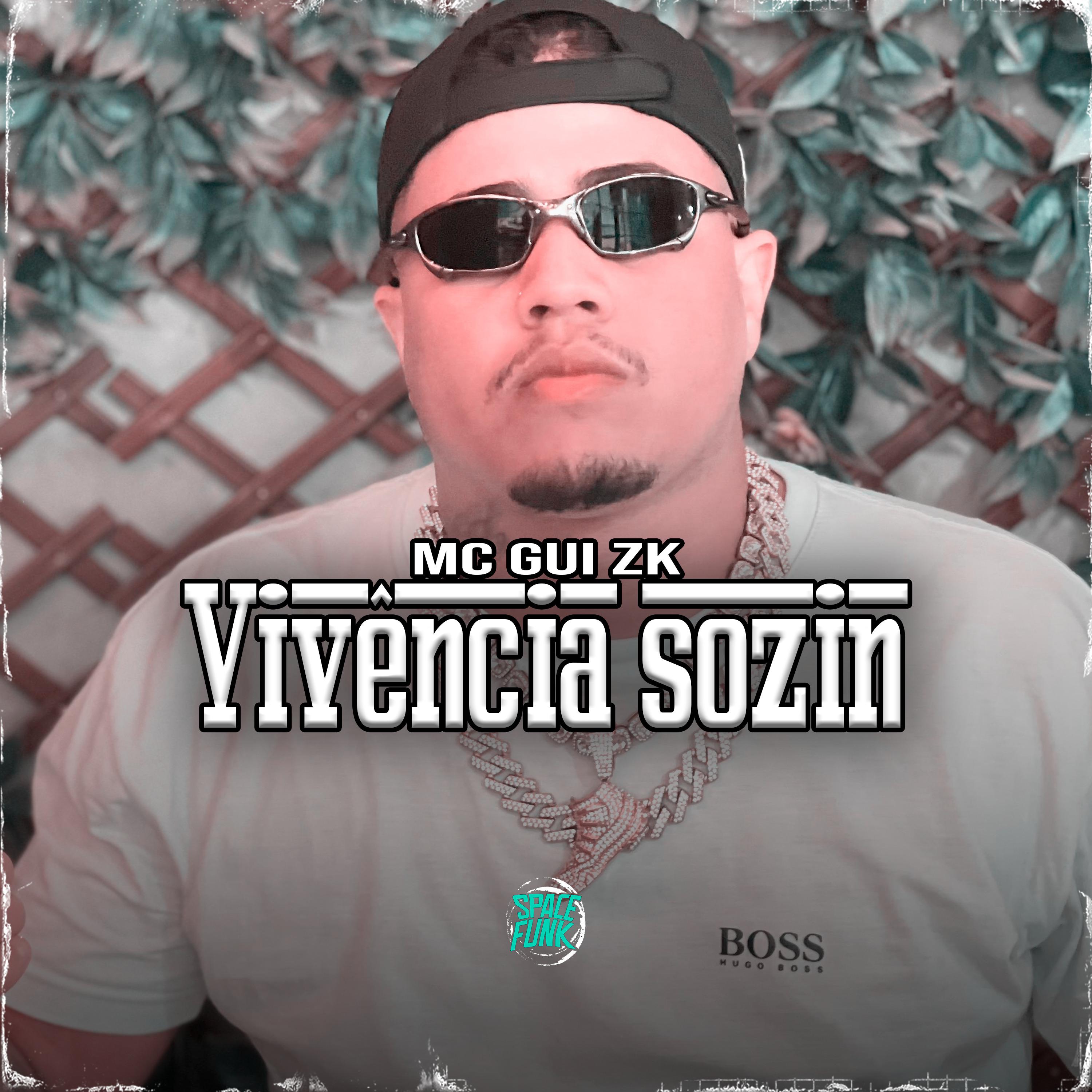 Постер альбома Vivência Sozin