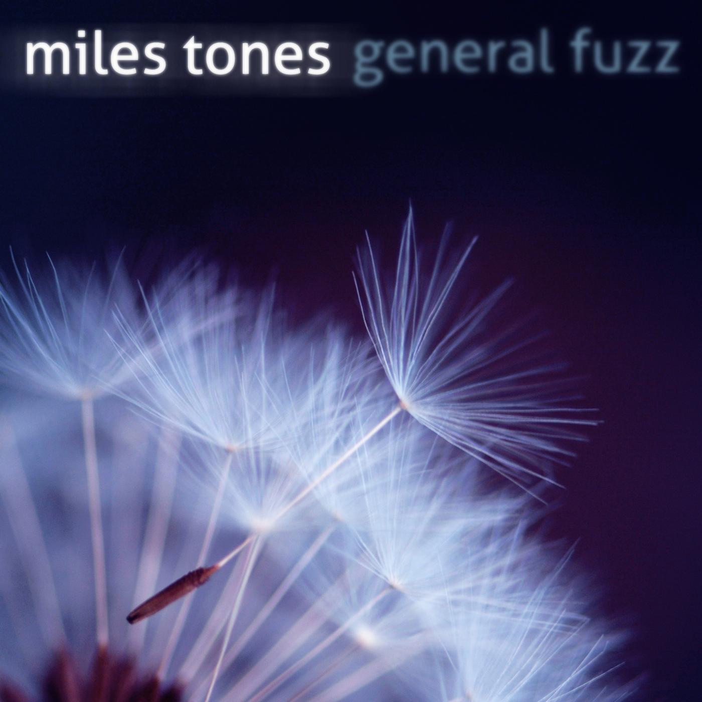 Постер альбома Miles Tones