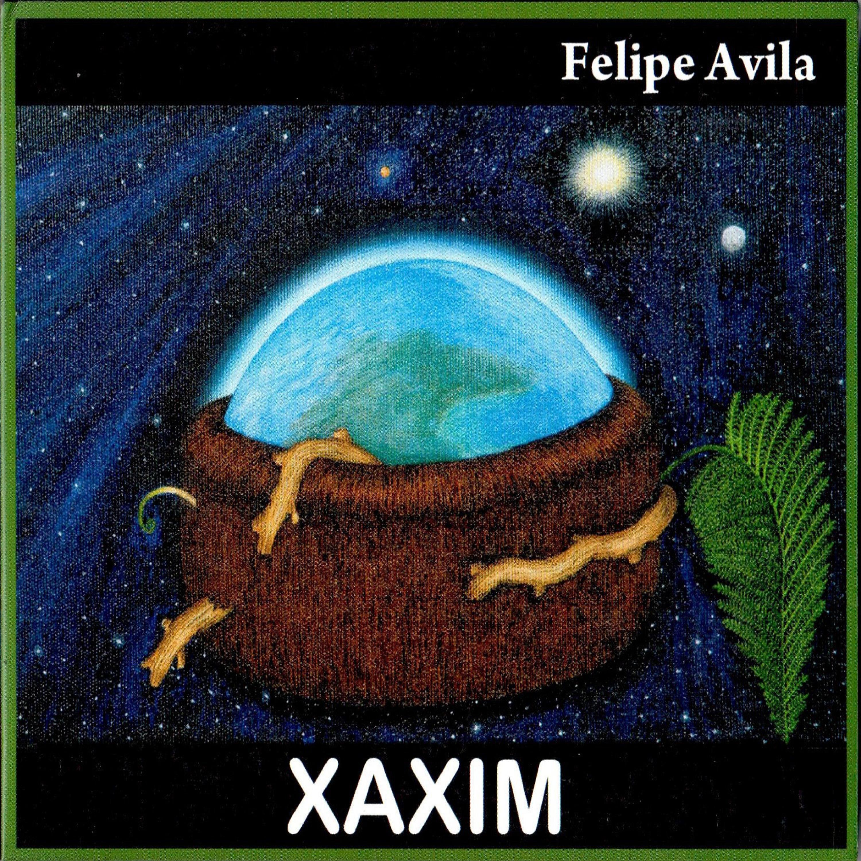 Постер альбома Xaxim
