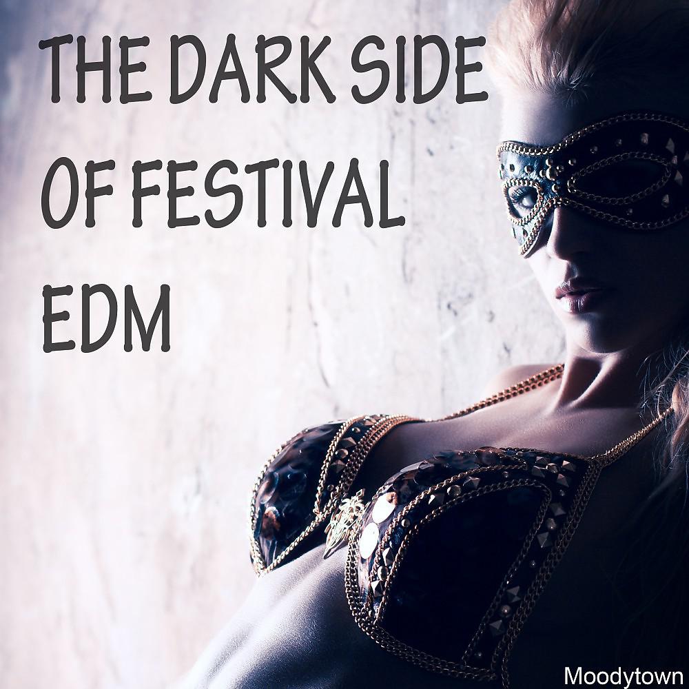 Постер альбома The Dark Side of Festival EDM