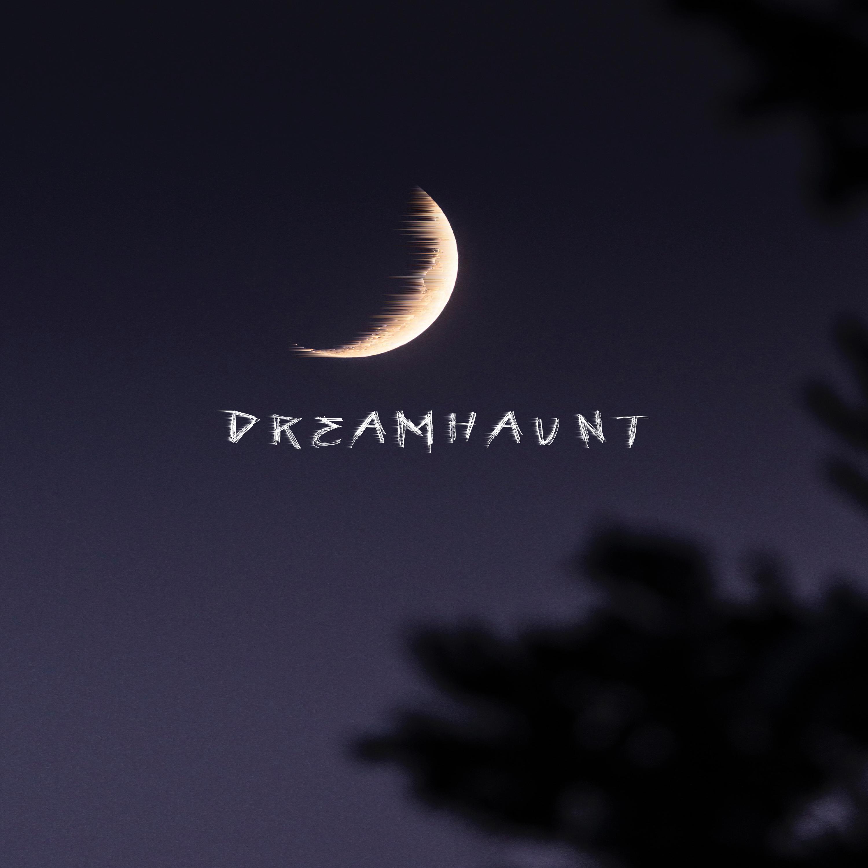 Постер альбома Dreamhaunt