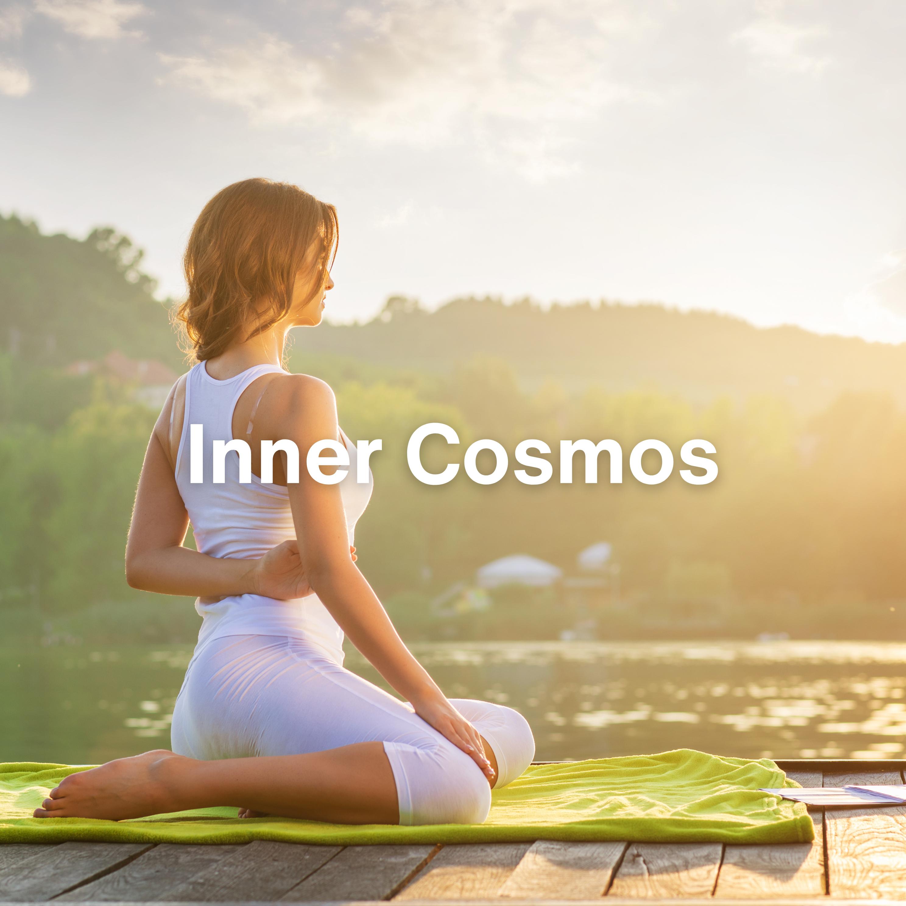 Постер альбома Inner Cosmos