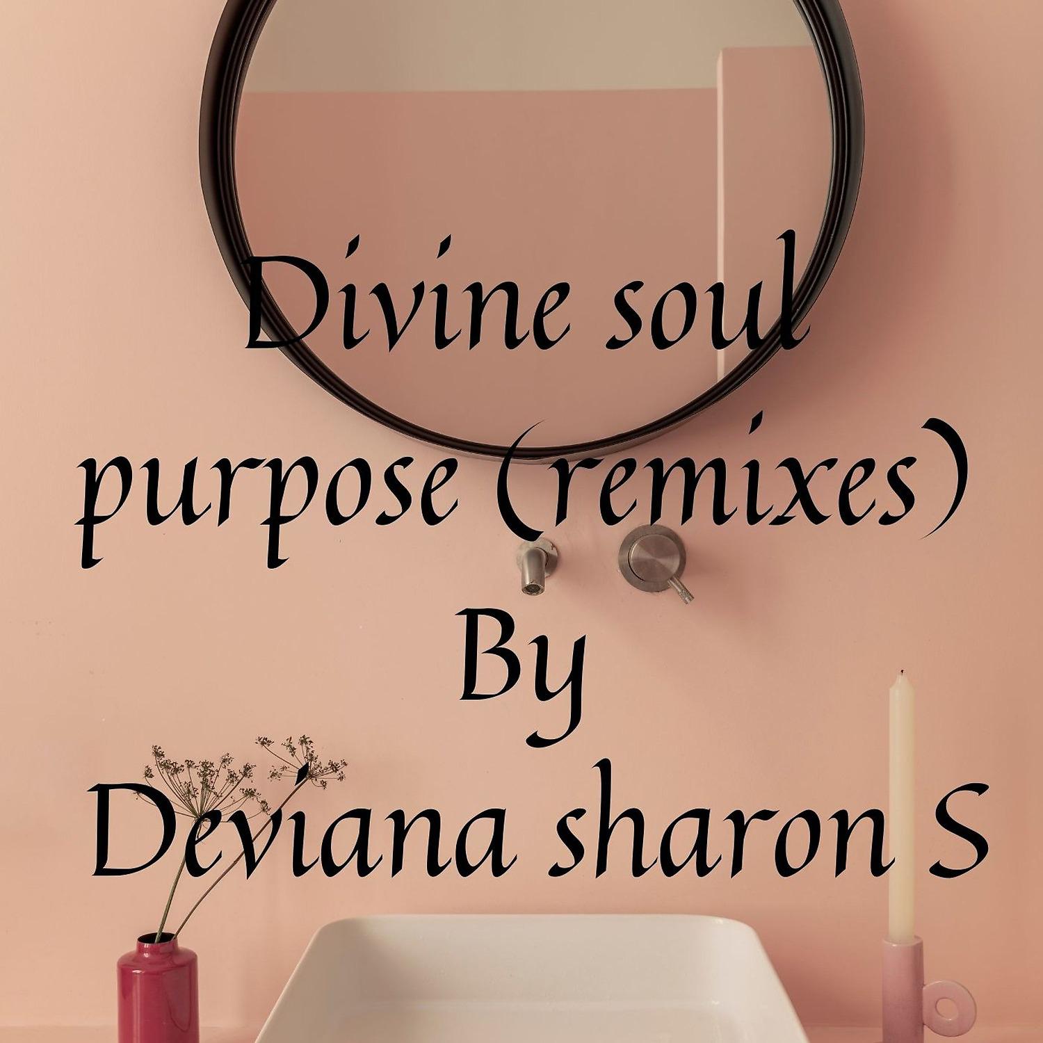 Постер альбома Divine Soul Purpose