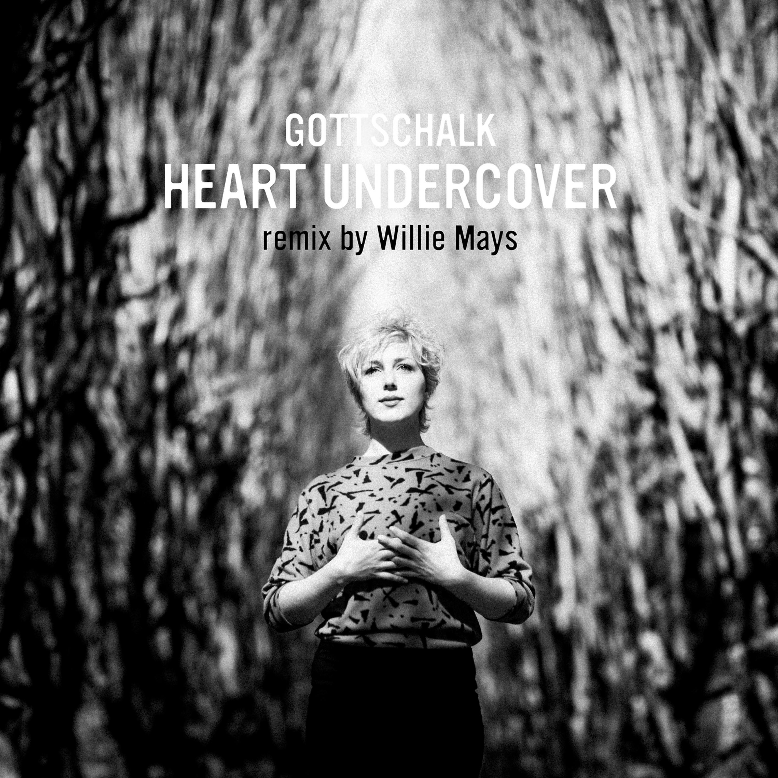 Постер альбома Heart Undercover (Willie Mays Rmx)