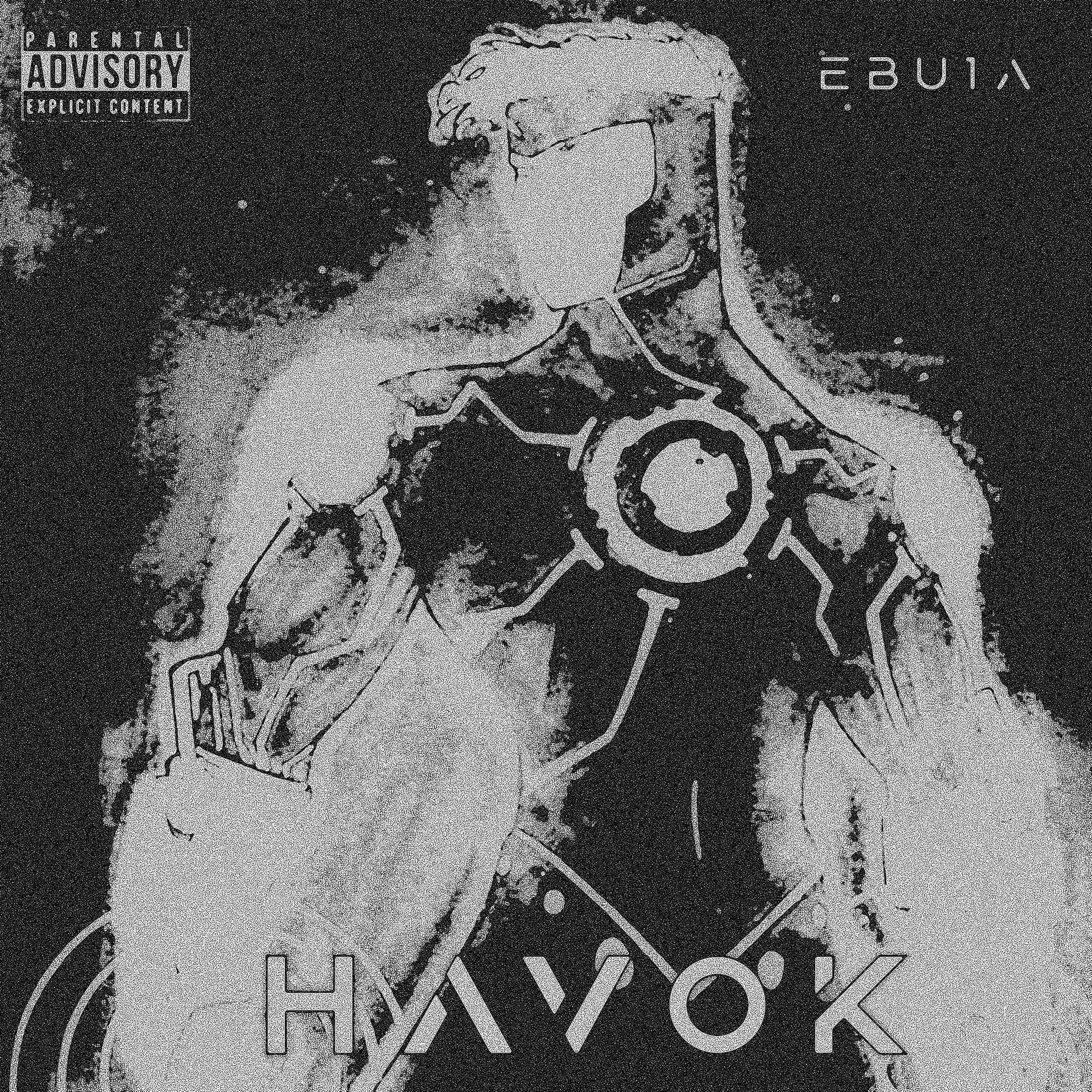 Постер альбома Havok