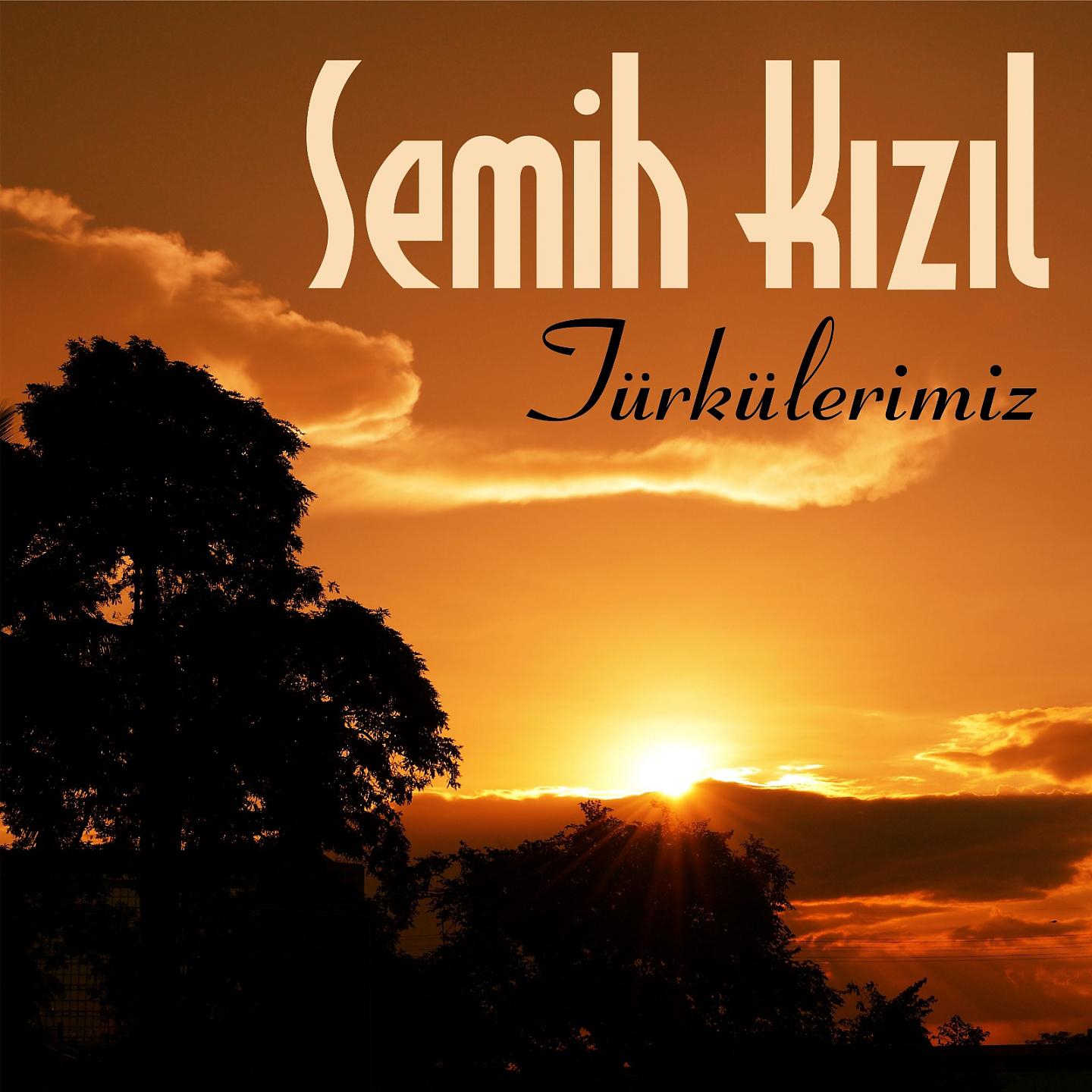 Постер альбома Türkülerimiz