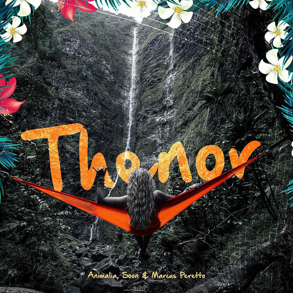 Постер альбома Thenor