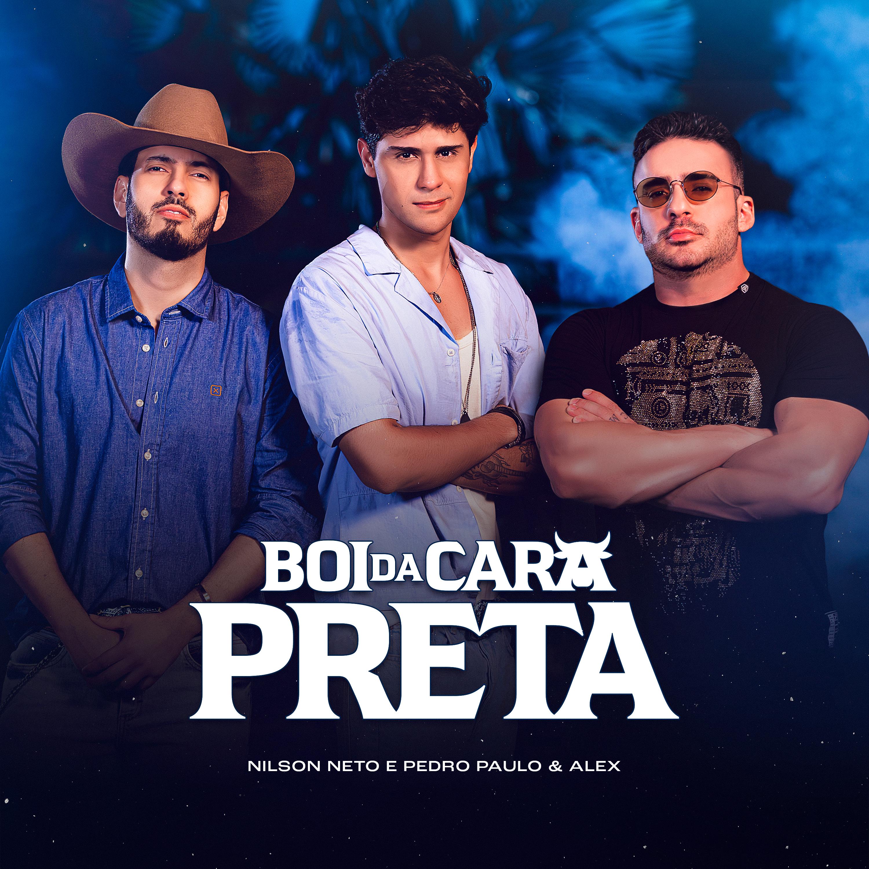 Постер альбома Boi da Cara Preta