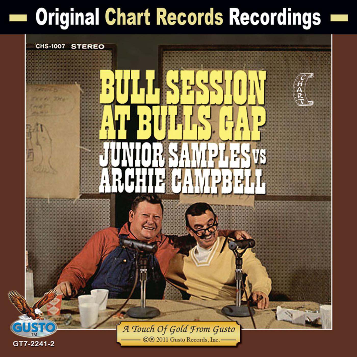 Постер альбома Bull Session At Bull's Gap