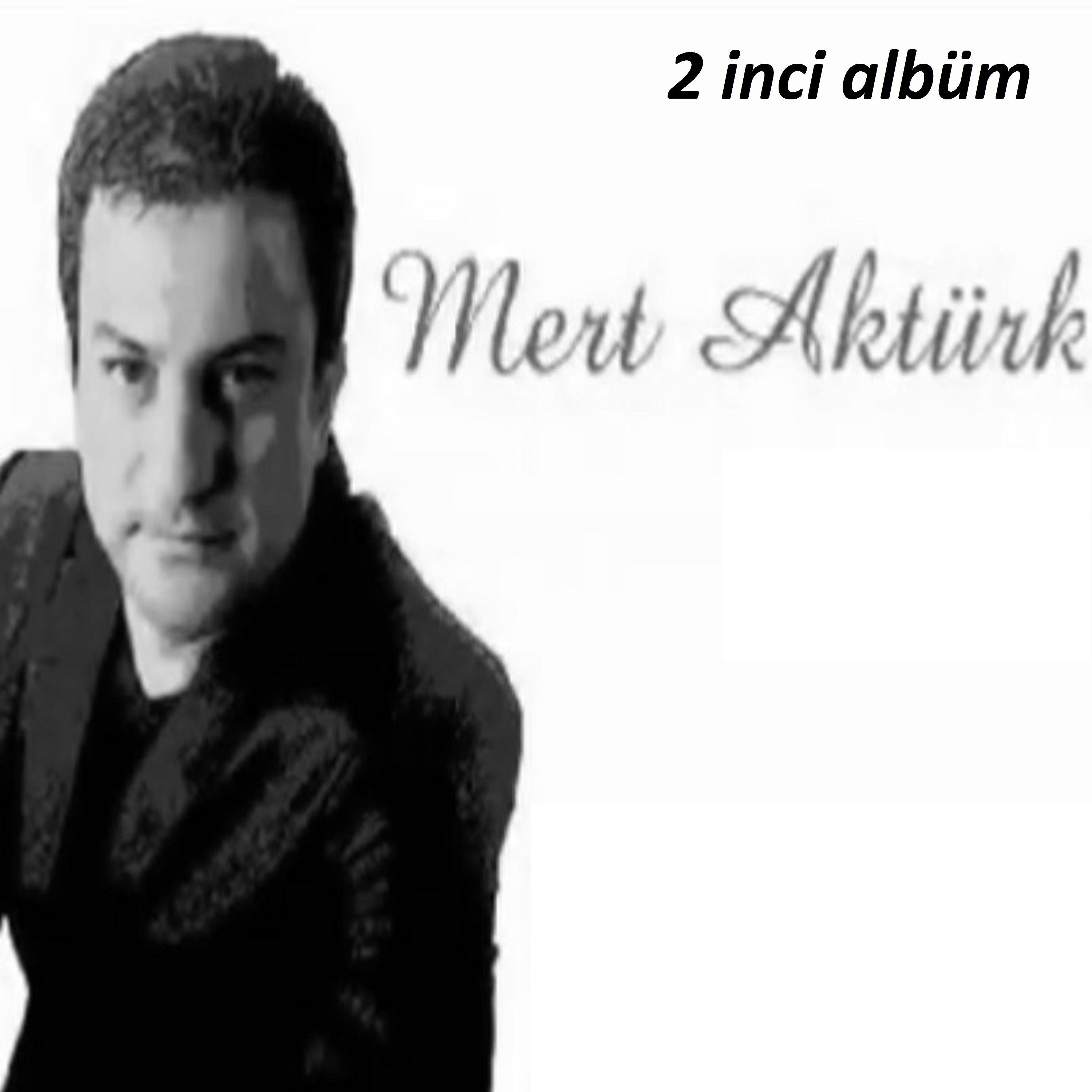 Постер альбома 2 inci Albüm
