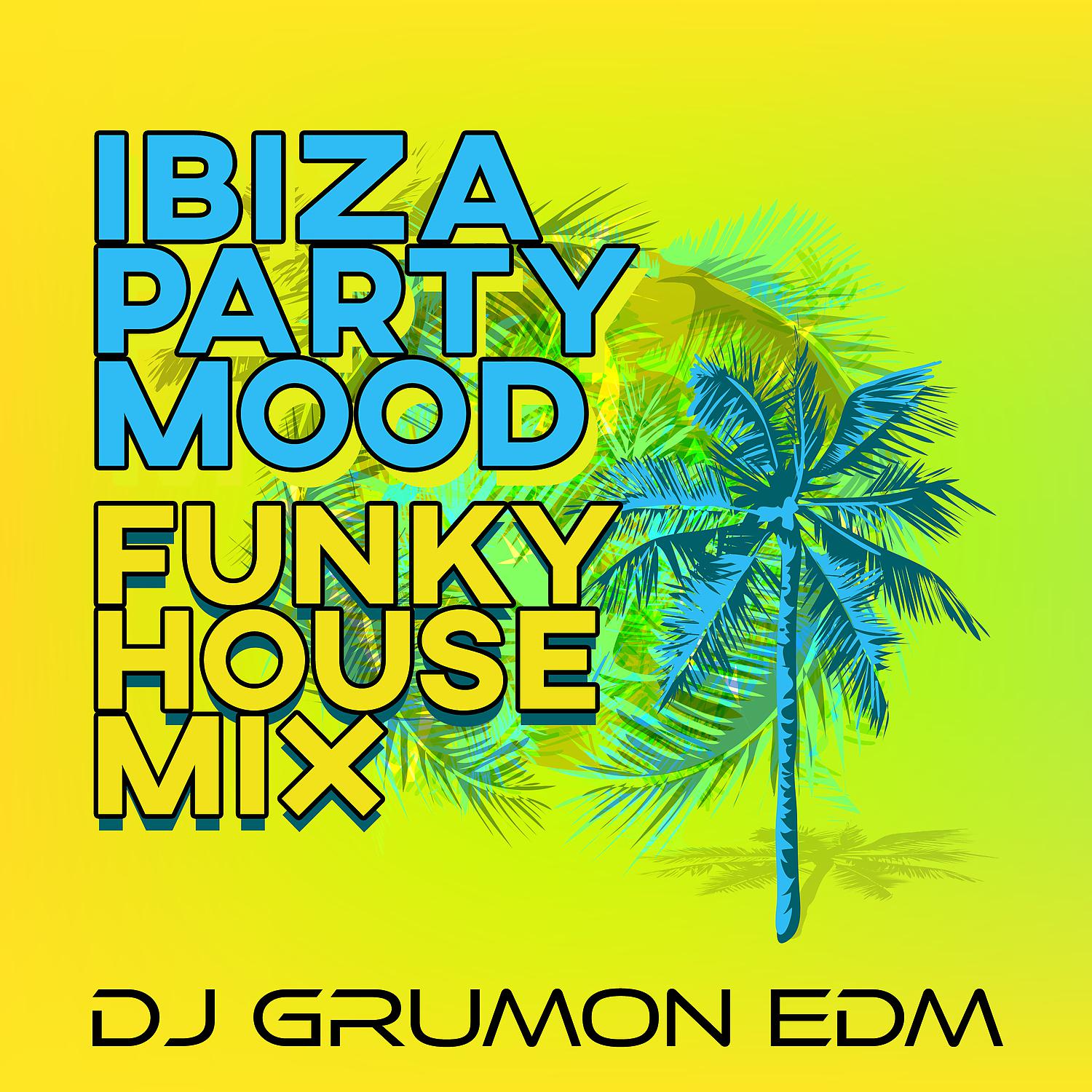 Постер альбома Ibiza Party Mood: Funky House Mix, Chillhouse Beats, Summer All Year Round