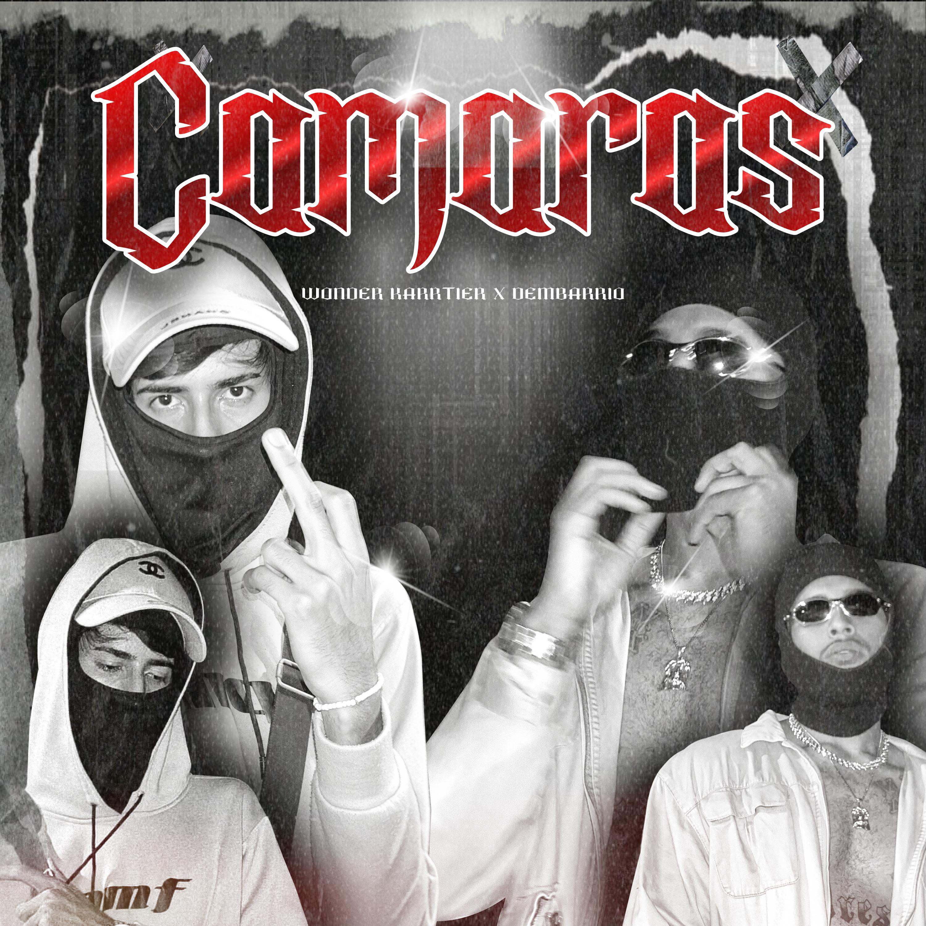 Постер альбома Cámaras