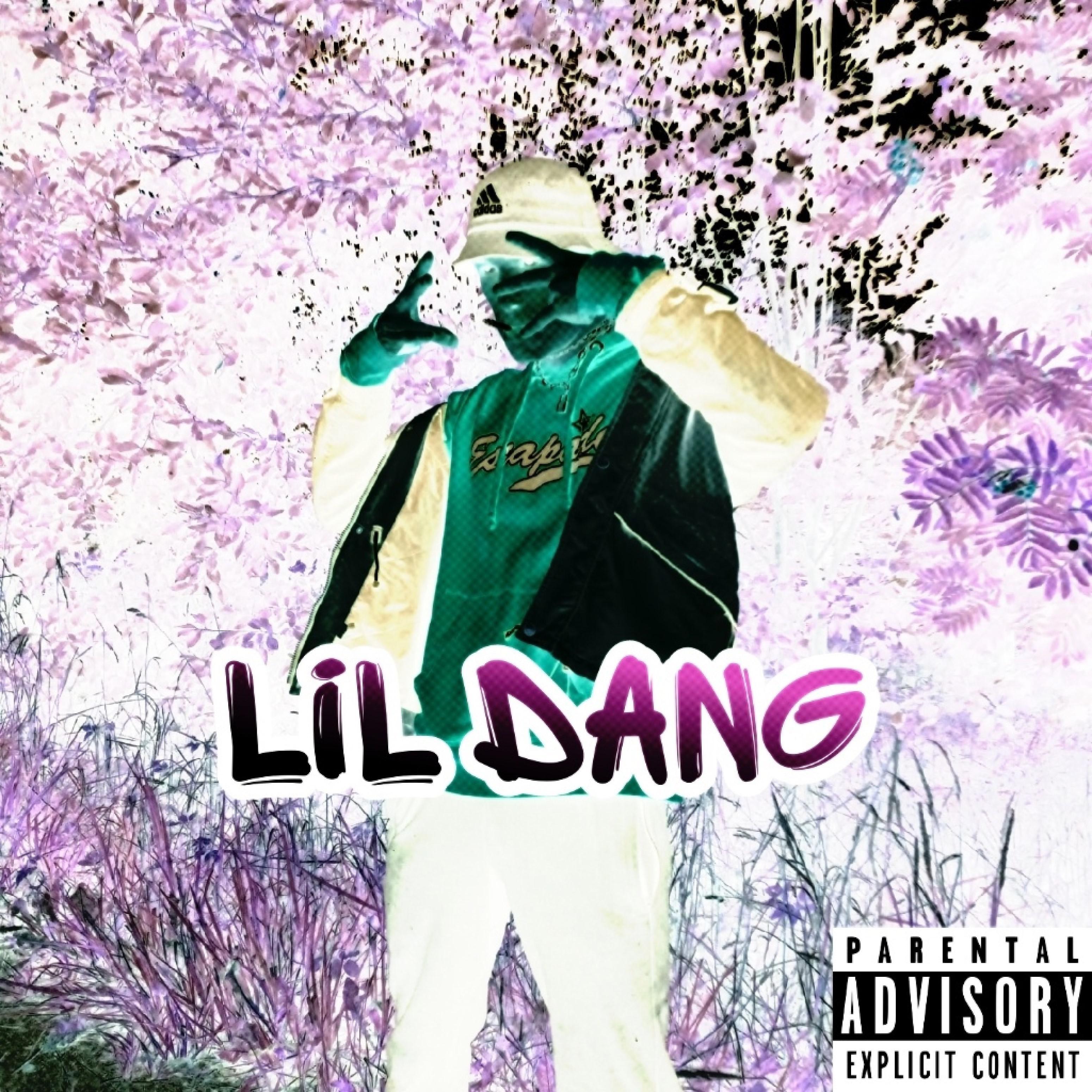 Постер альбома Lil Dang
